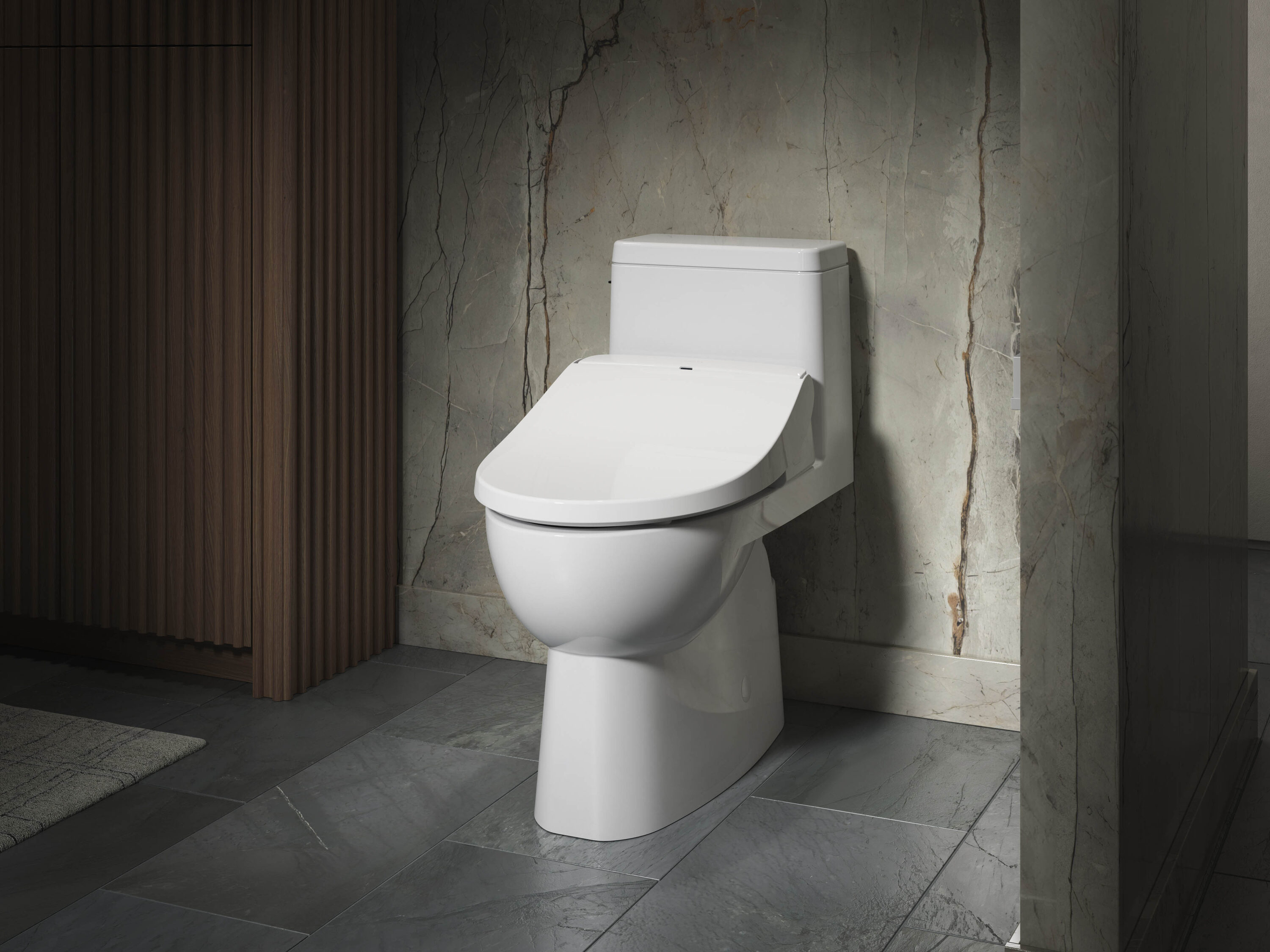 White Round Heated Bidet Toilet Seat with Remote Control