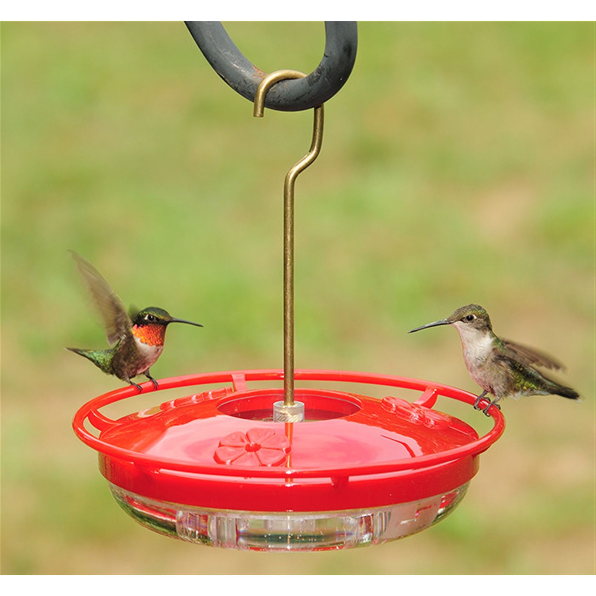 Aspects ASP430 Bird-Feeders - View #4