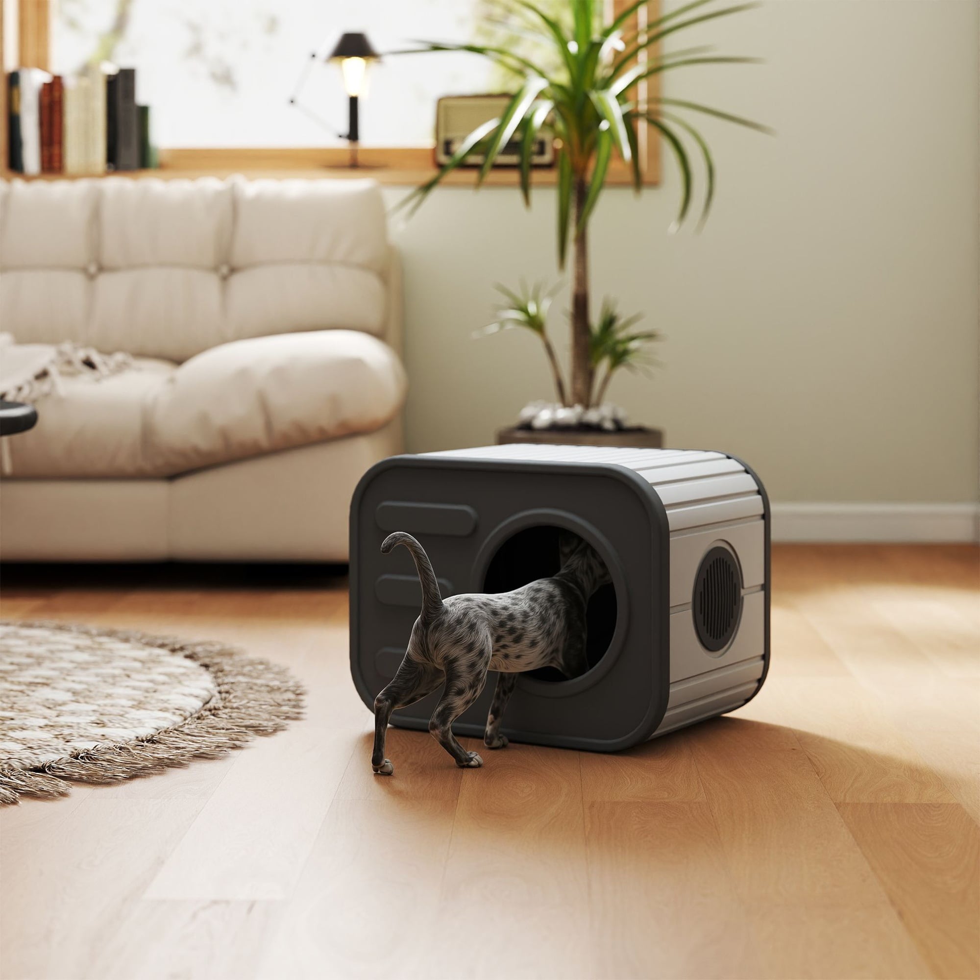 Boyel Living - Indoor Camera Cat House Antarctica Gray Black Modern Home for Apartment