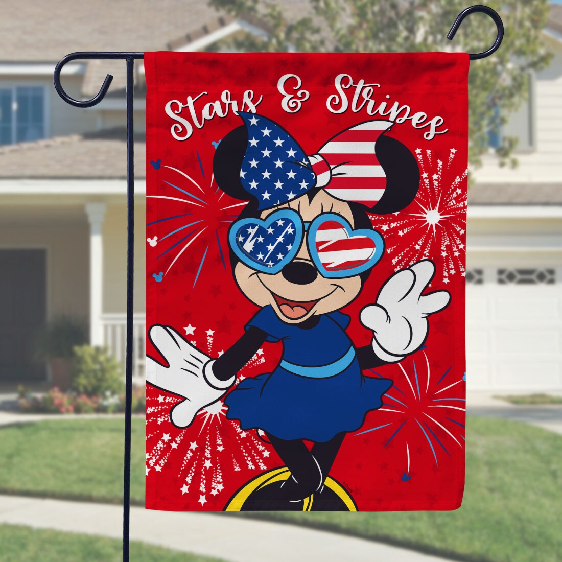 Disney 10-1210-92F-01 Decorative-Banner-Flags - View #6