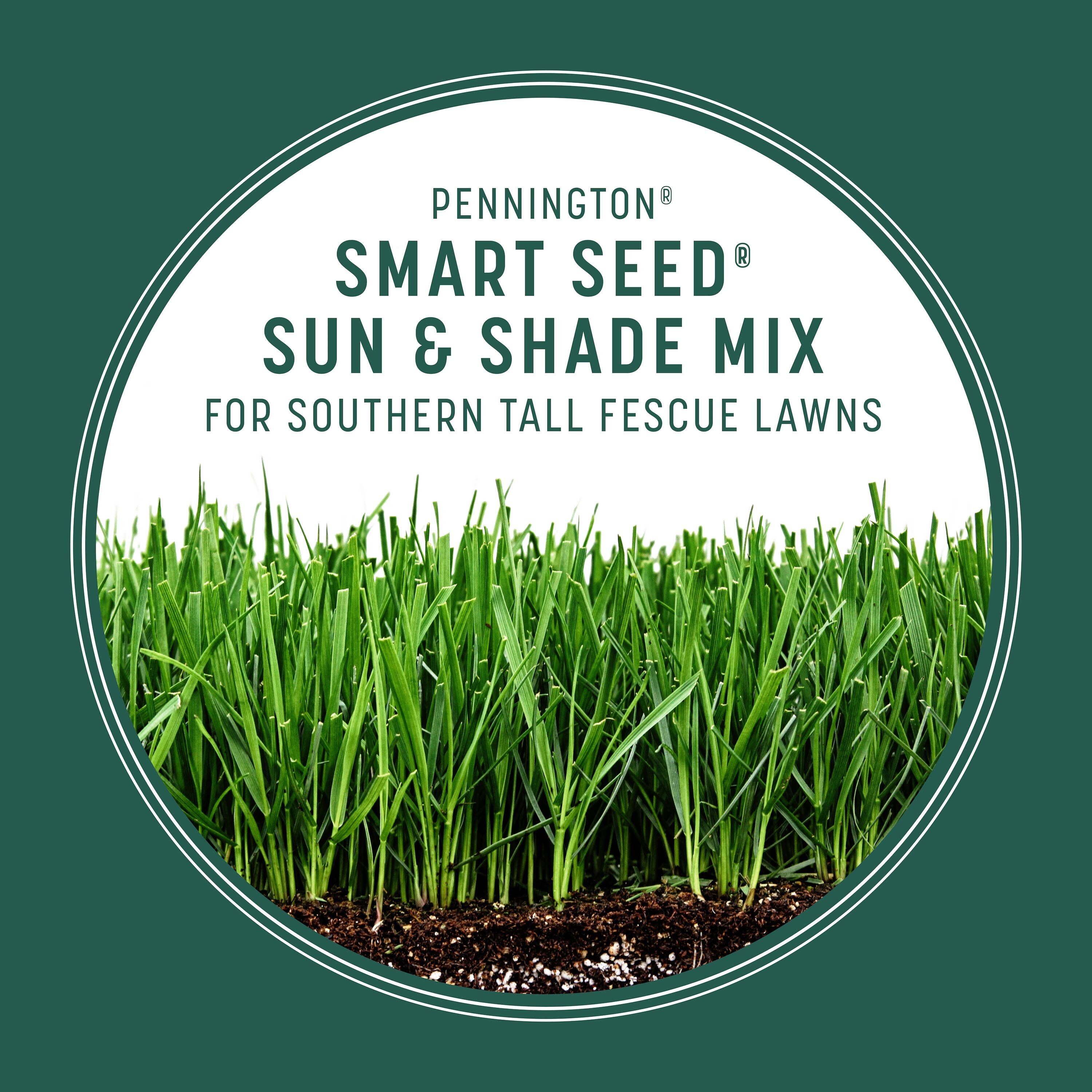 Pennington 2149602283 Grass-Seed - View #5