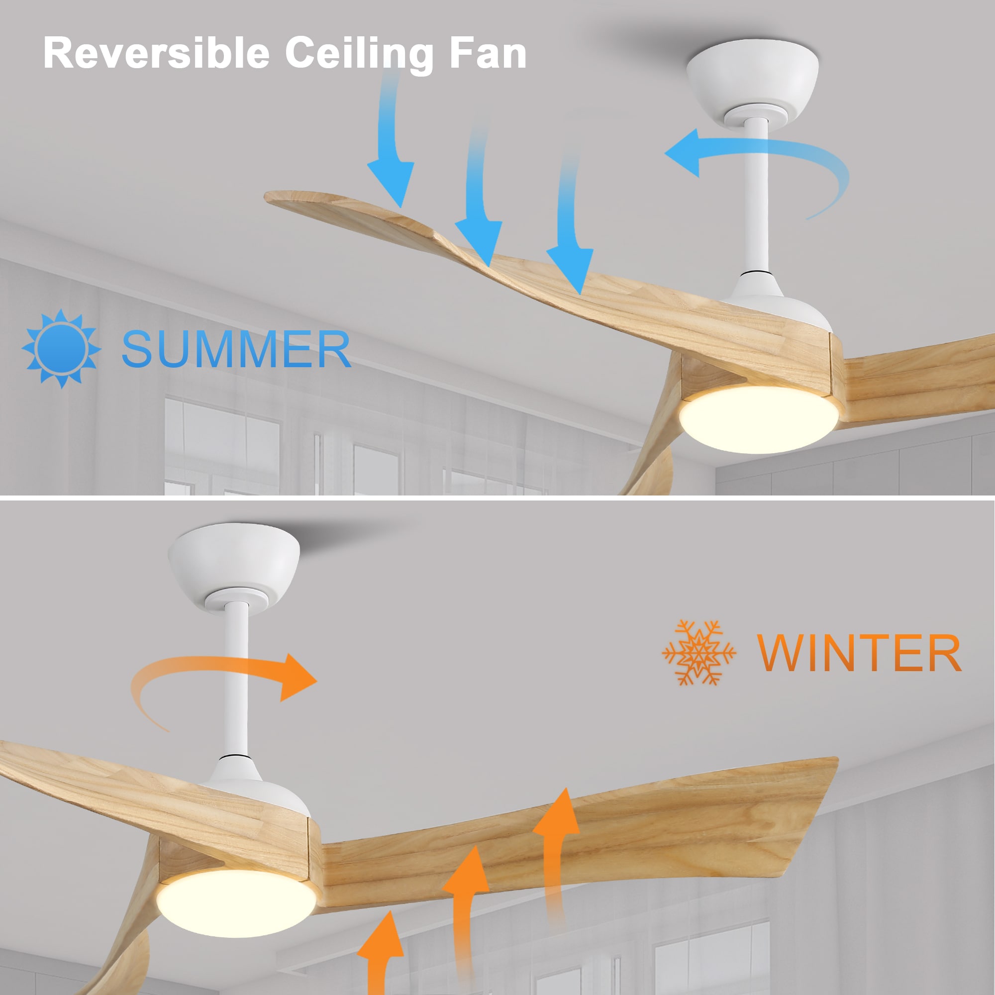 Dexmalle 52K012WH Ceiling-Fans - View #2