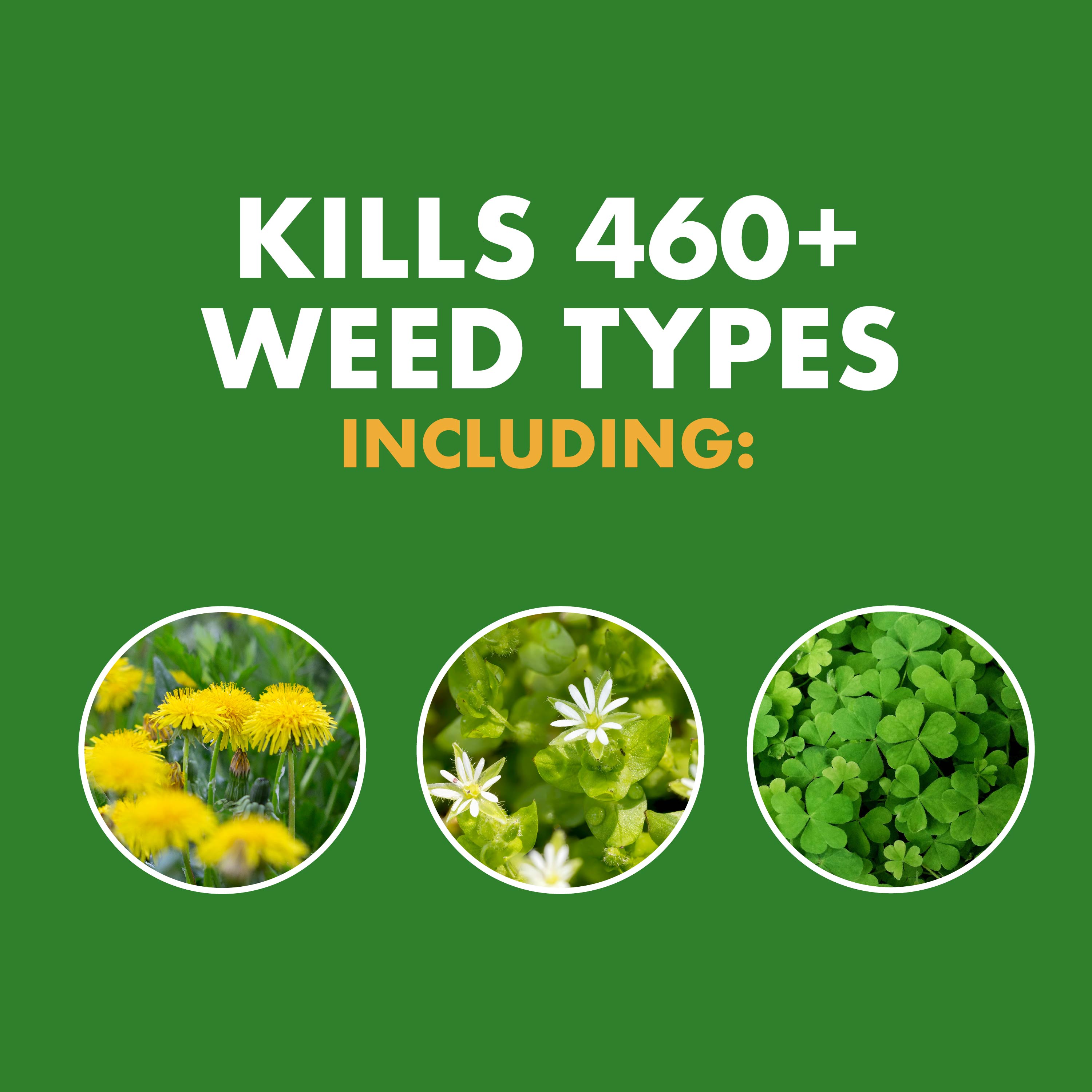 Spectracide HG-96543 Weed-Killers - View #2