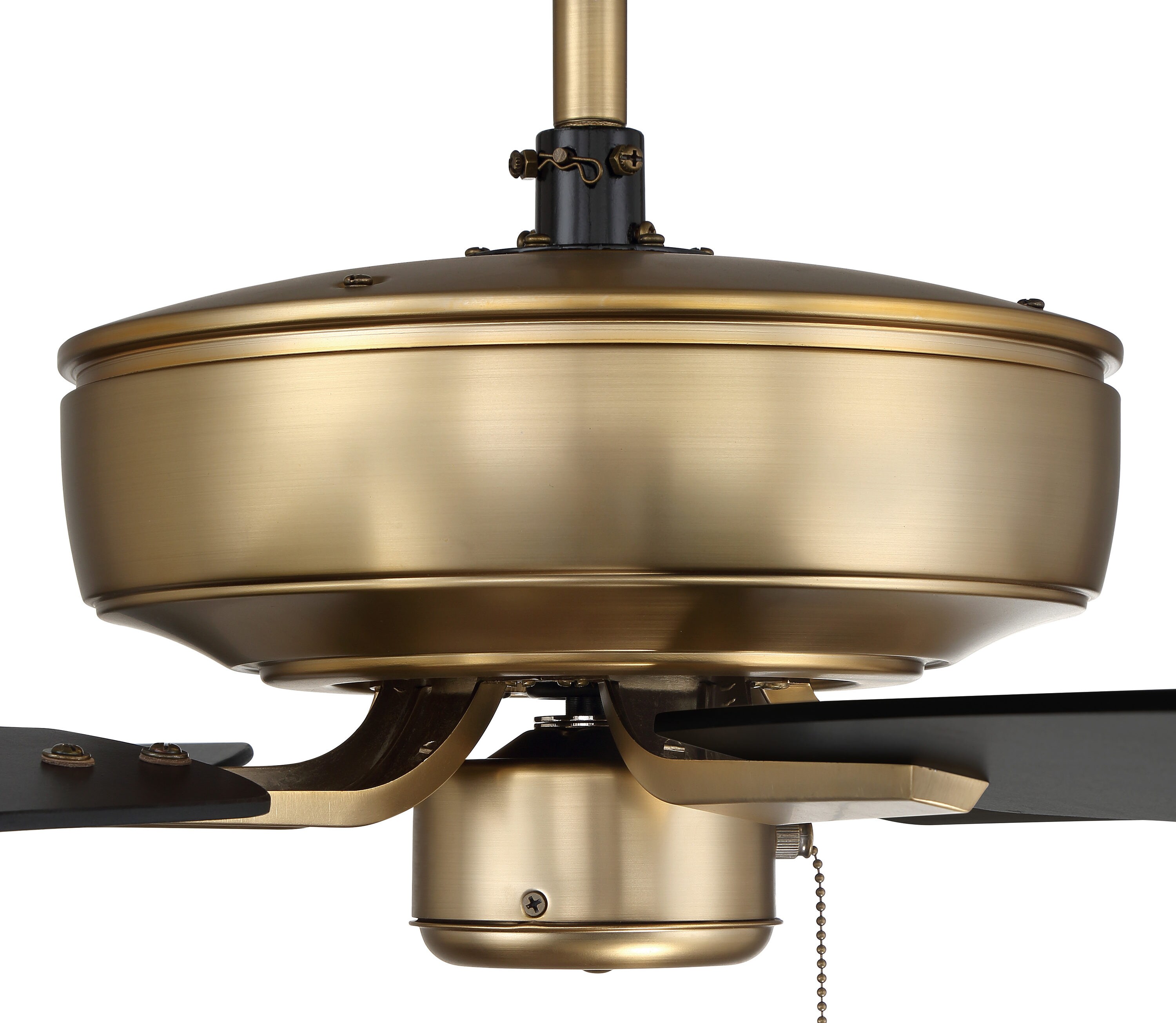 Satin Brass 52" Ceiling Fan with Black Walnut Blades