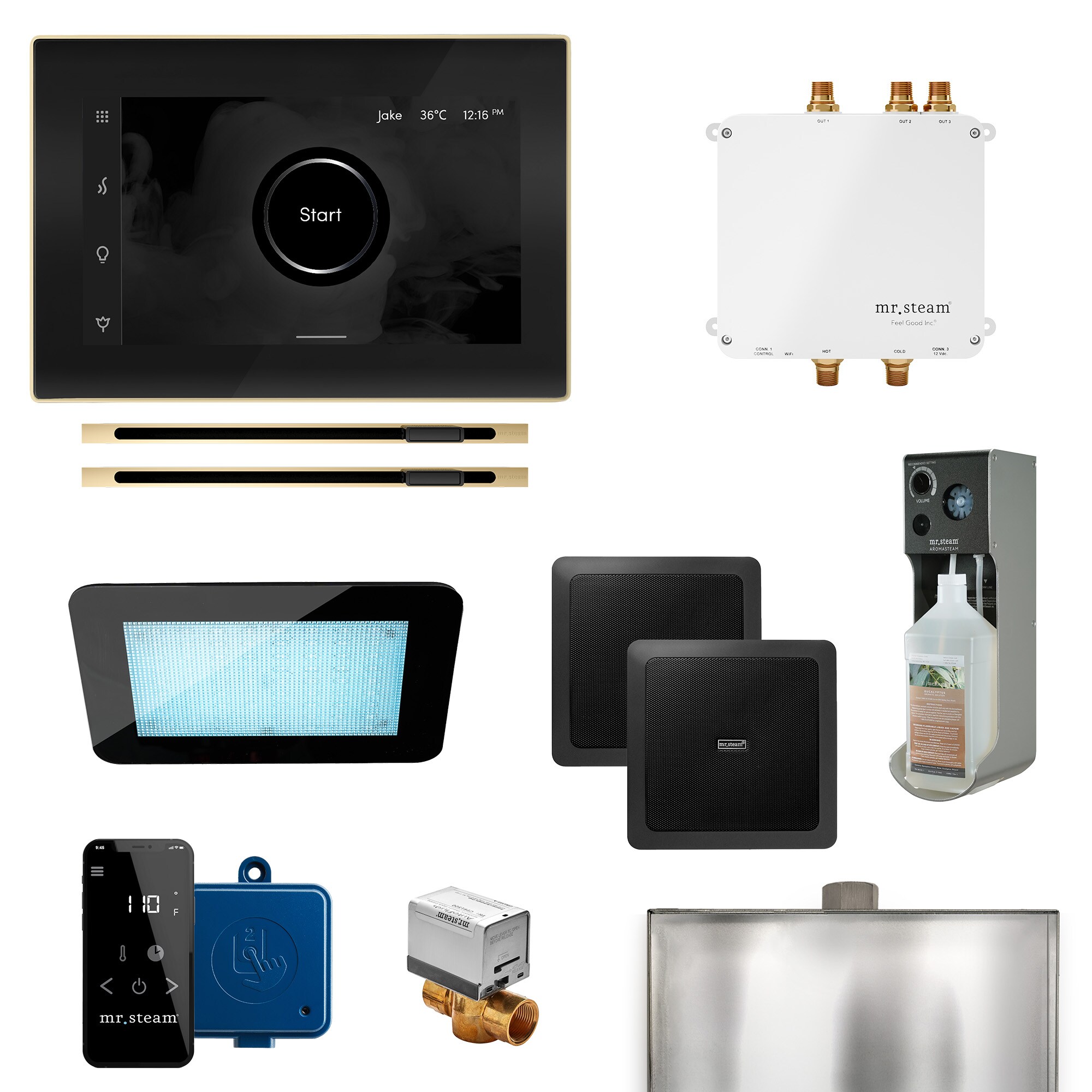Mr. Steam BLS-BKXLPB Bliss Max Linear 600-Watts Polished Brass Steam generator control kit