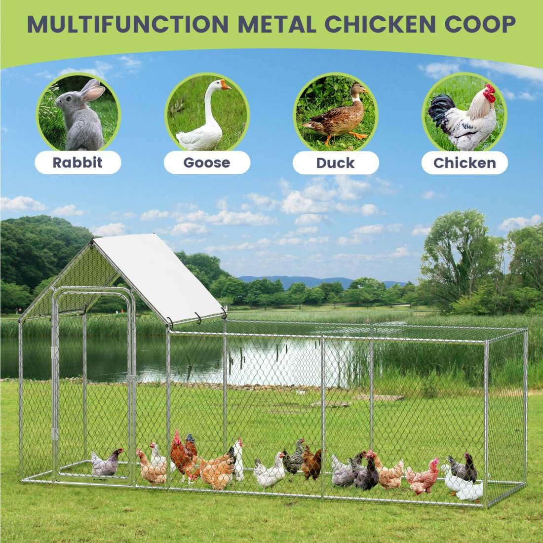 Qeetex WLS-PHO-159W8UKA Chicken-Coops-Rabbit-Hutches - View #5