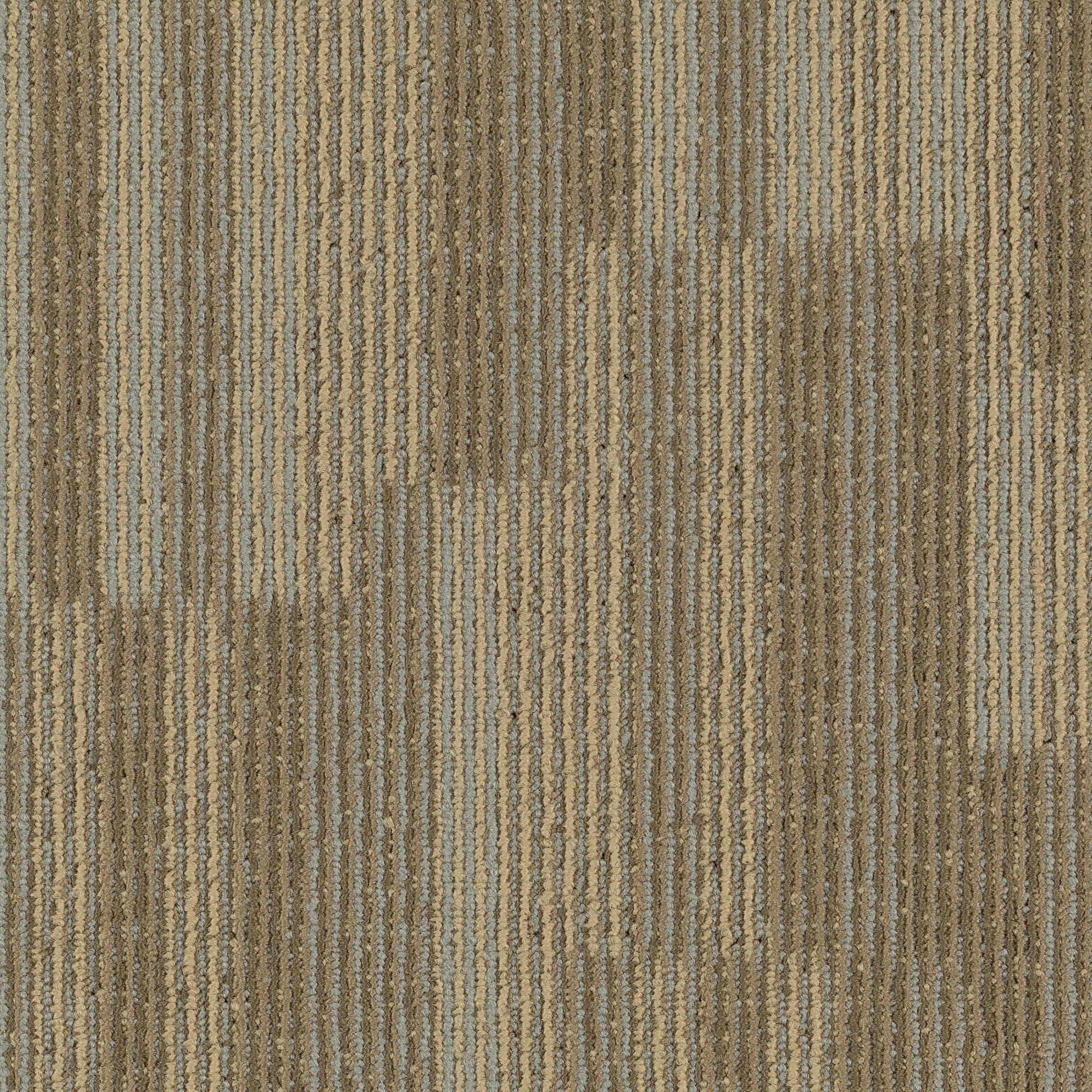 Mohawk LC36-238-0808 (Sample) Home and Office Common Area Shale Brown 13.4-oz sq yard Nylon Textured Indoor Carpet