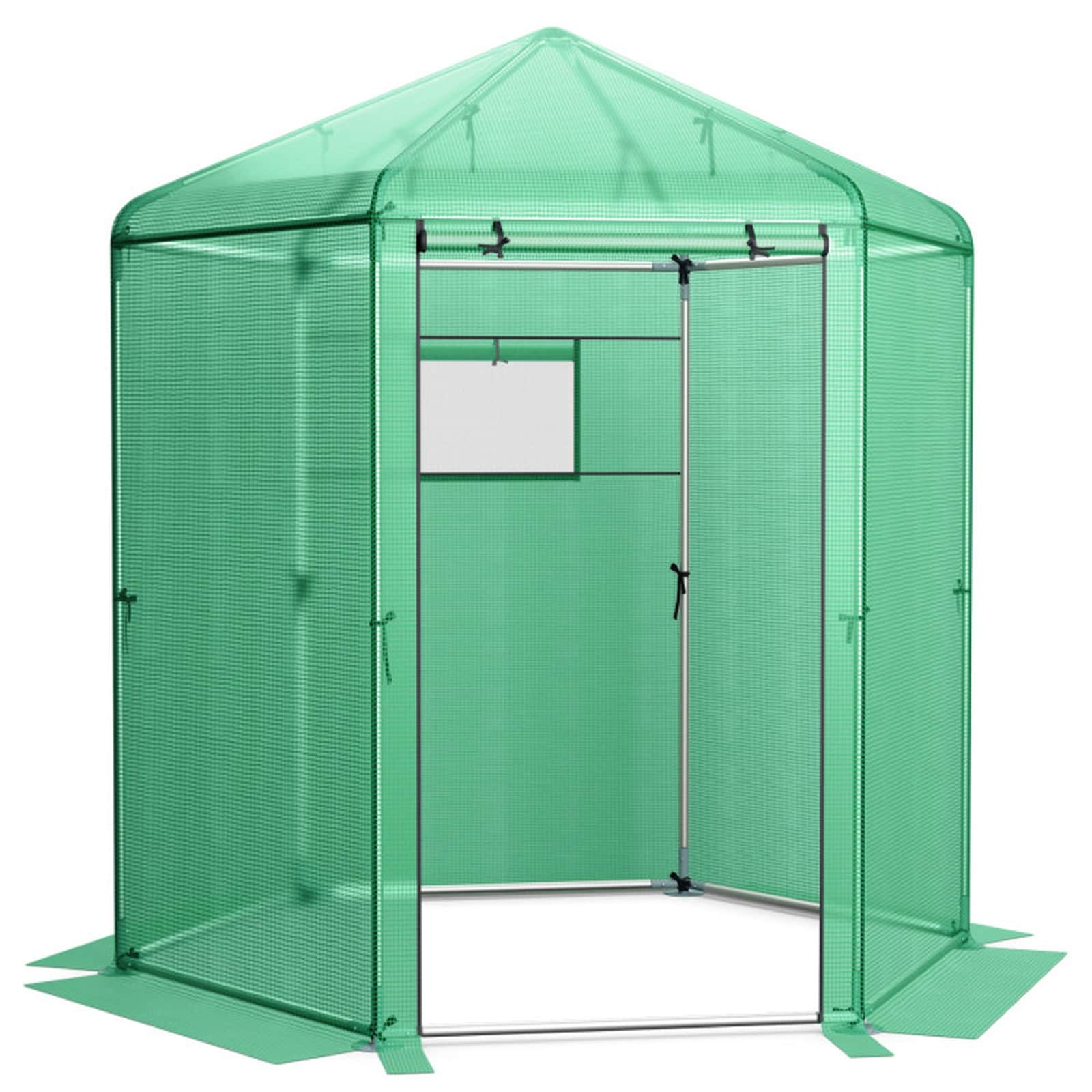 Durable Walk-In Hexagonal Greenhouse with PE Cover and Metal Frame