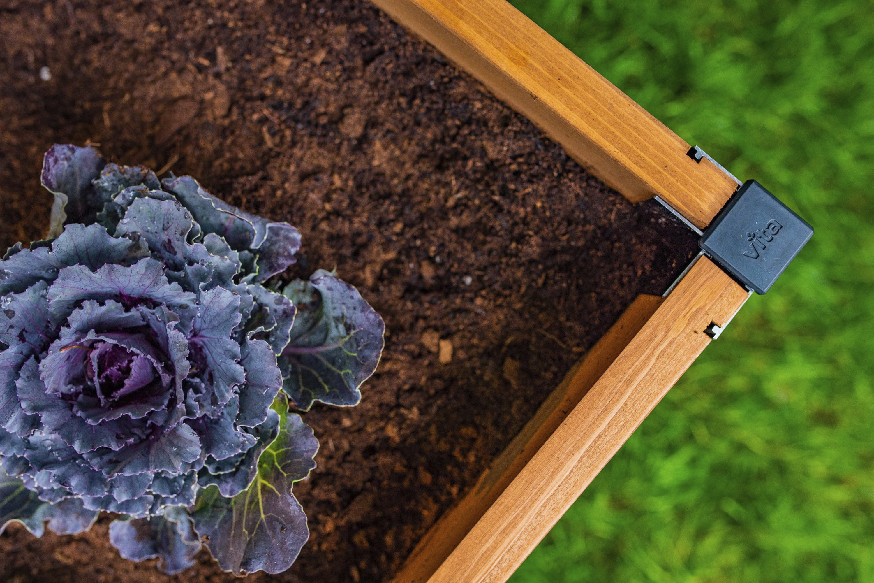 Vita VT17703 Raised-Garden-Beds - View #4