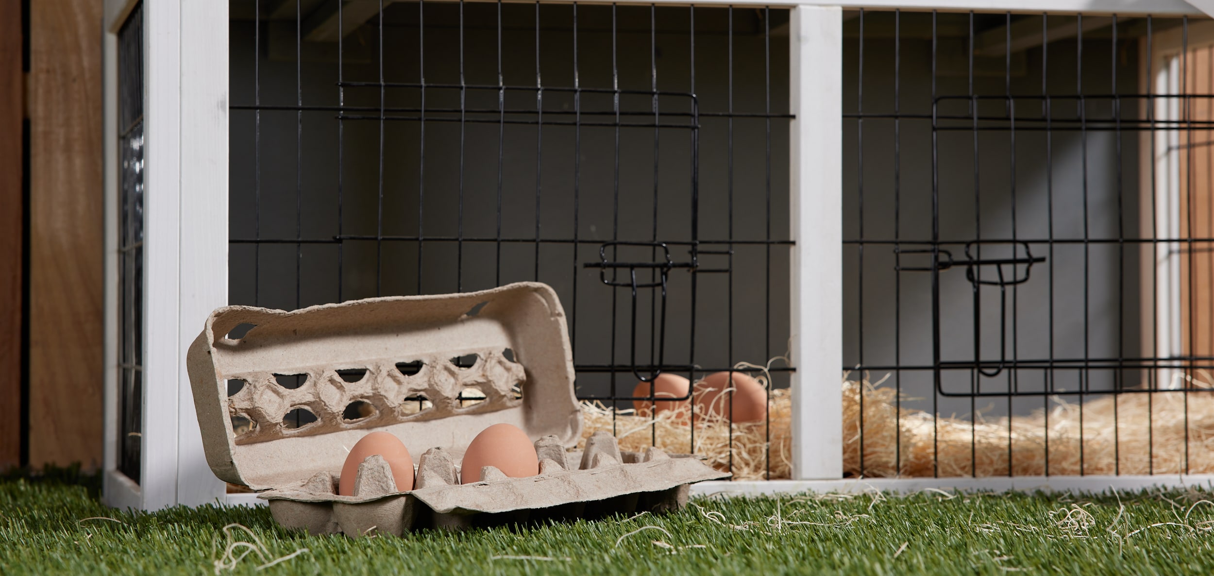 Pecking Order Egg-Carton Dozen Cardboard in the Food Storage Containers  department at