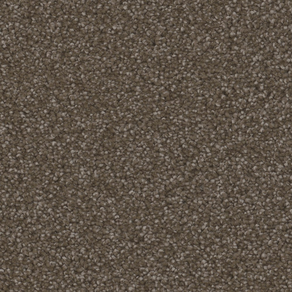 STAINMASTER S9059-868-S (Sample) Echo Park Bay Brown 59-oz sq yard Polyester Textured Indoor Carpet