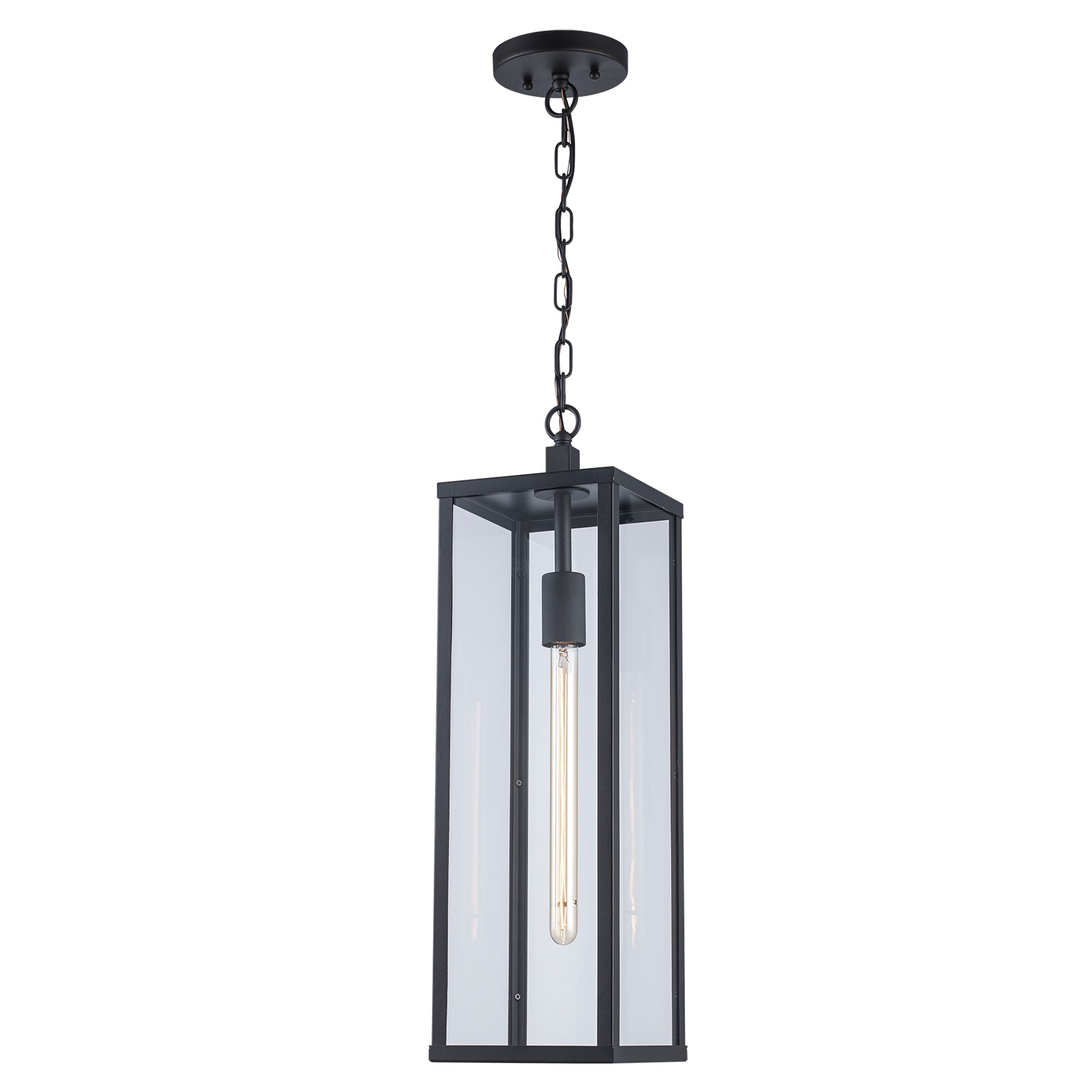 Lucid Lighting 40758 BK 1 -Light Black Transitional Clear glass Lantern Medium Outdoor Hanging Pendant light