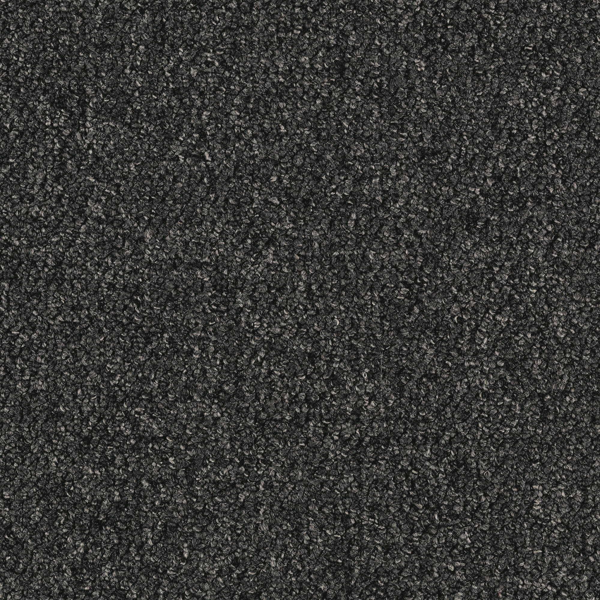 Mohawk LC41-978-0808 (Sample) Home and Office Scholastic 20 Dusk Gray 20-oz sq yard Nylon Textured Indoor Carpet