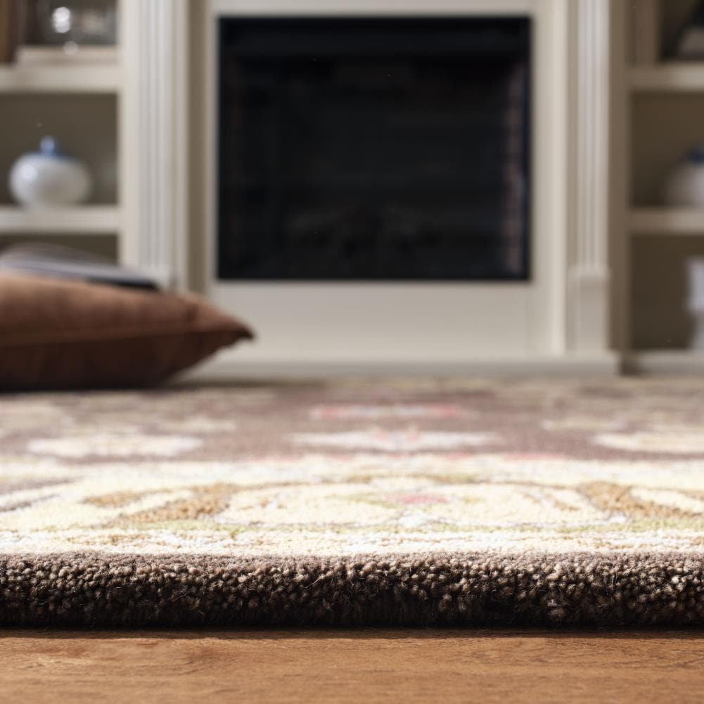 Safavieh AN562A-4 rugs - View #7