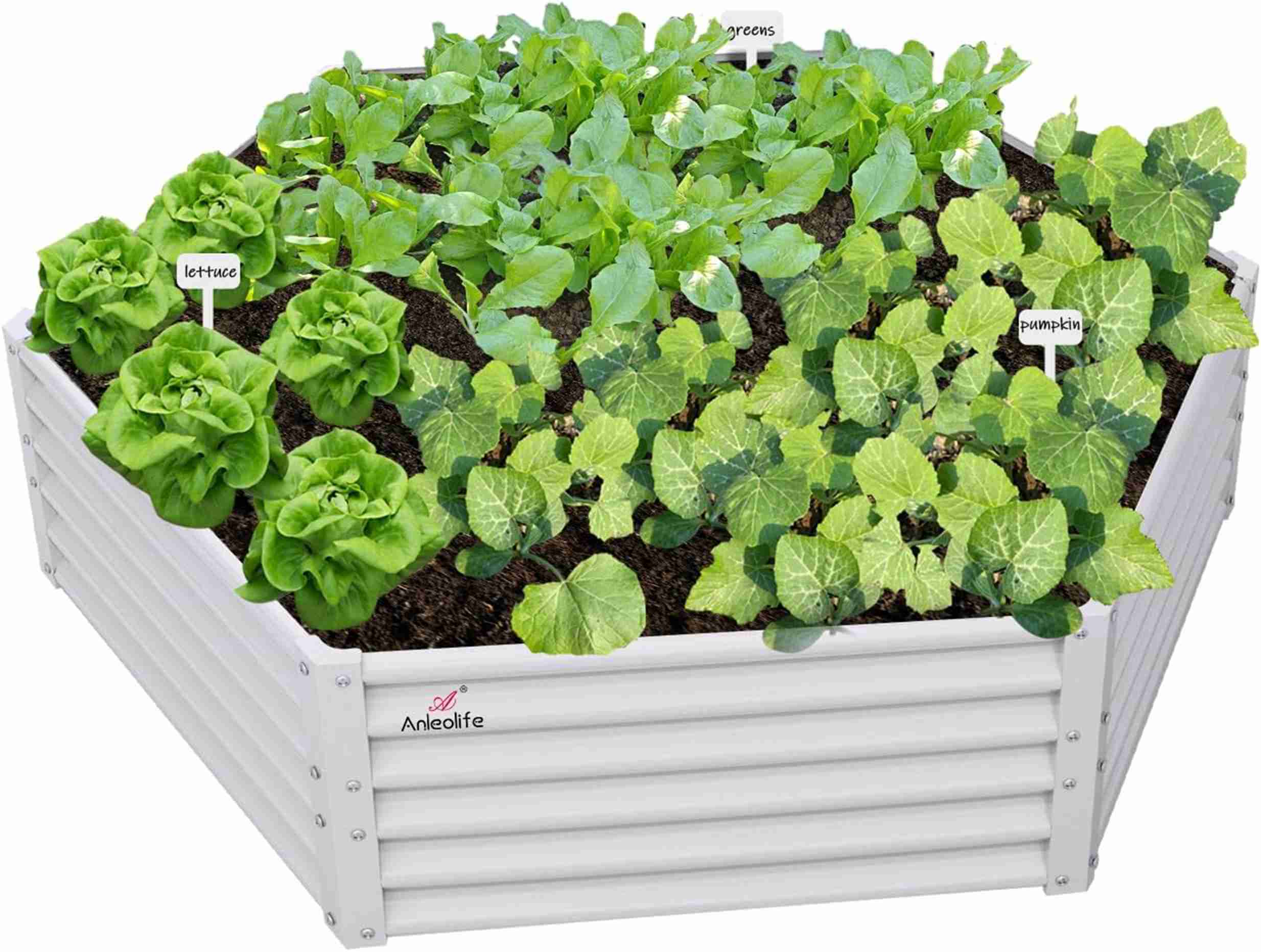 Runesay QCGABED04-02 43.45-cu ft 60-in W x 70-in L x 18-in H White Galvanized Metal Raised Garden Bed