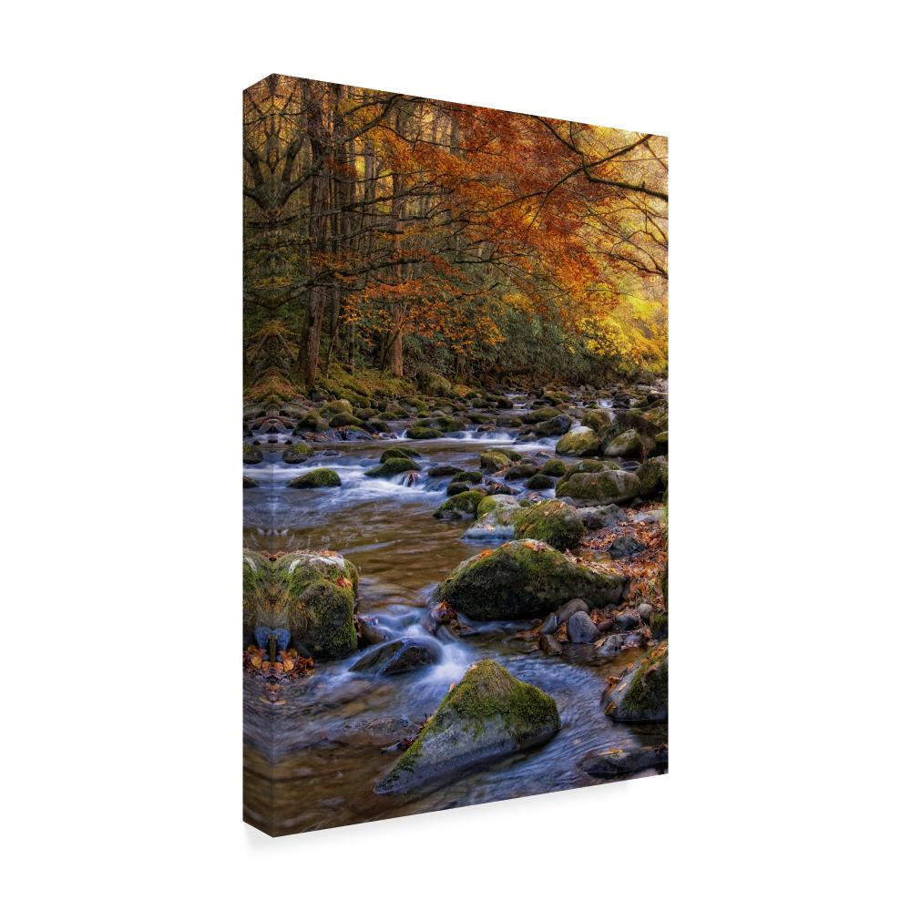 Trademark Fine Art Framed 19-in H x 12-in W Landscape Print on Canvas ...