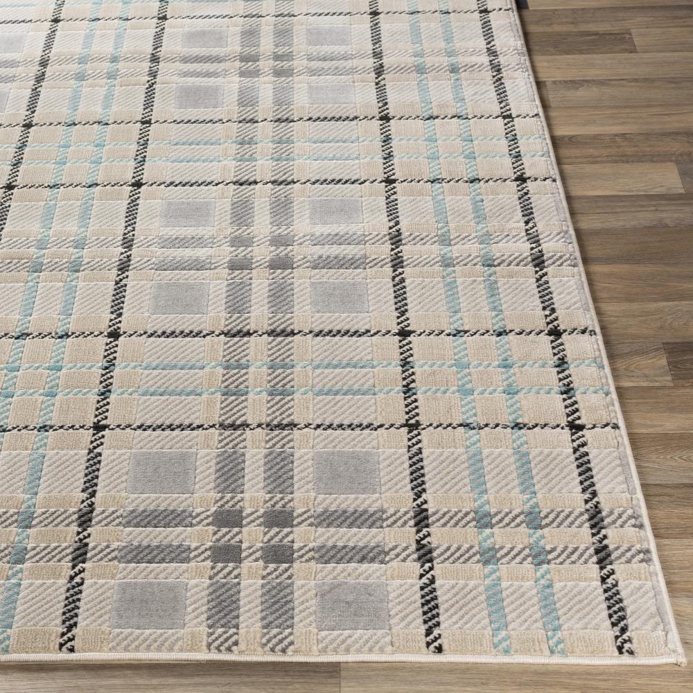 Surya CIT2364-5373 rugs - View #3