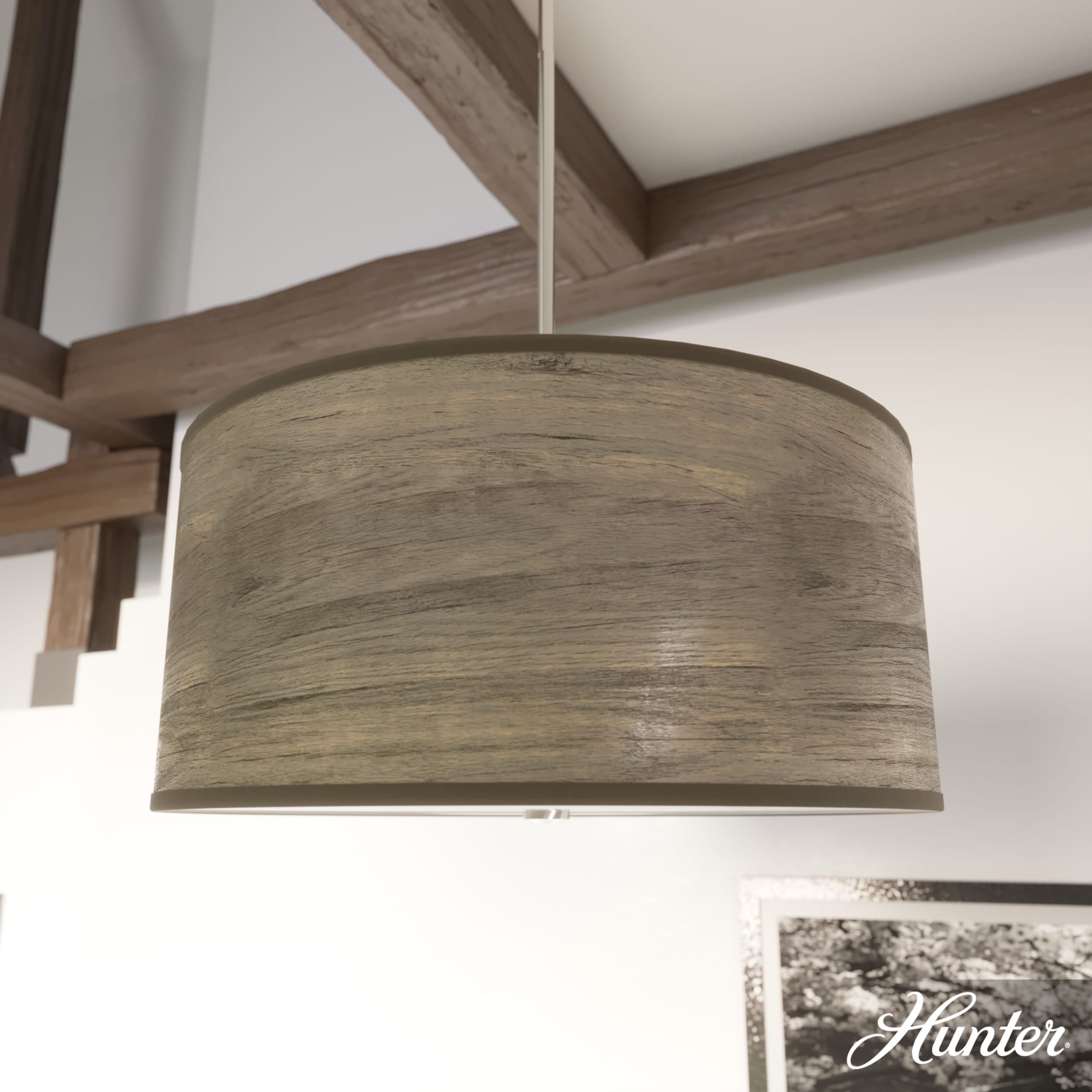 Hunter 19381 Pendant-Lights - View #3