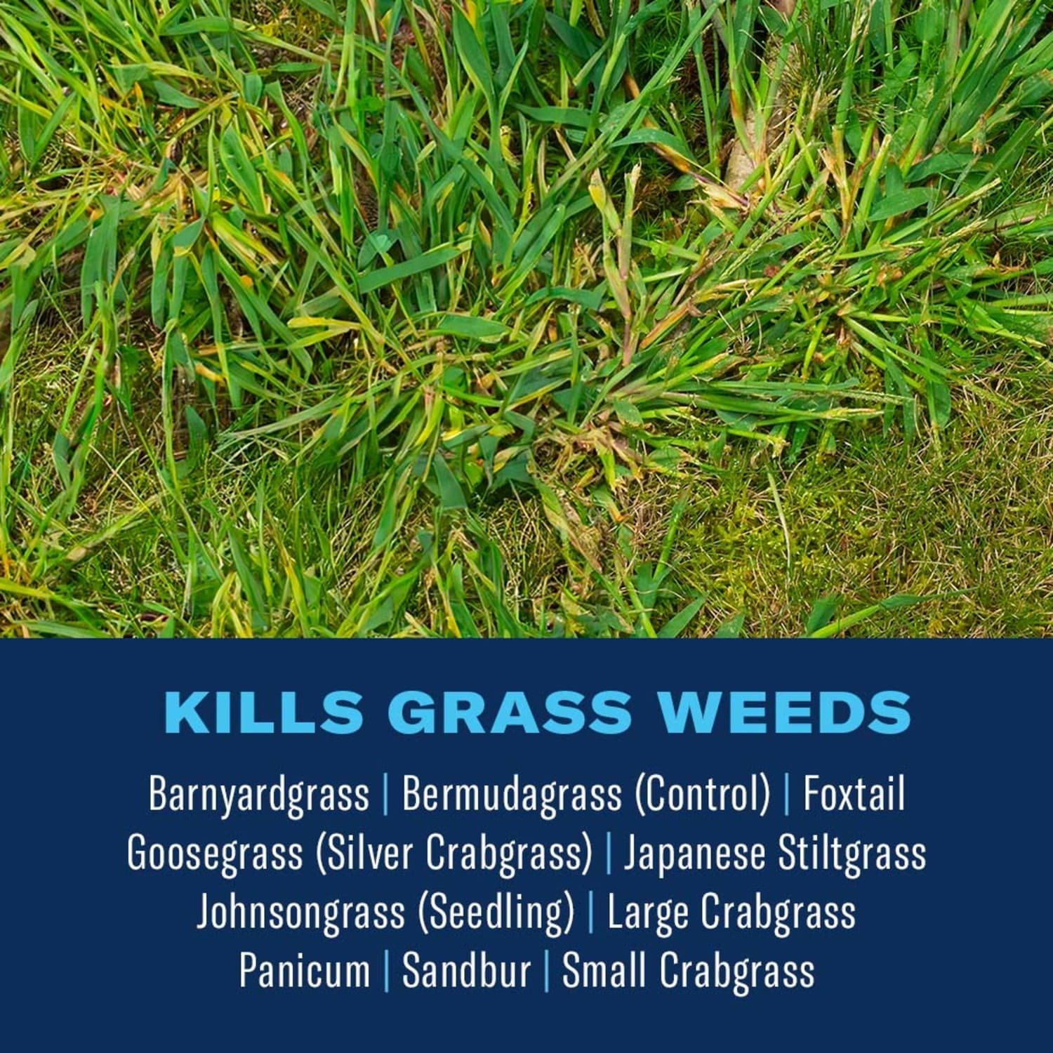 BioAdvanced 704119 Weed-Killers - View #2