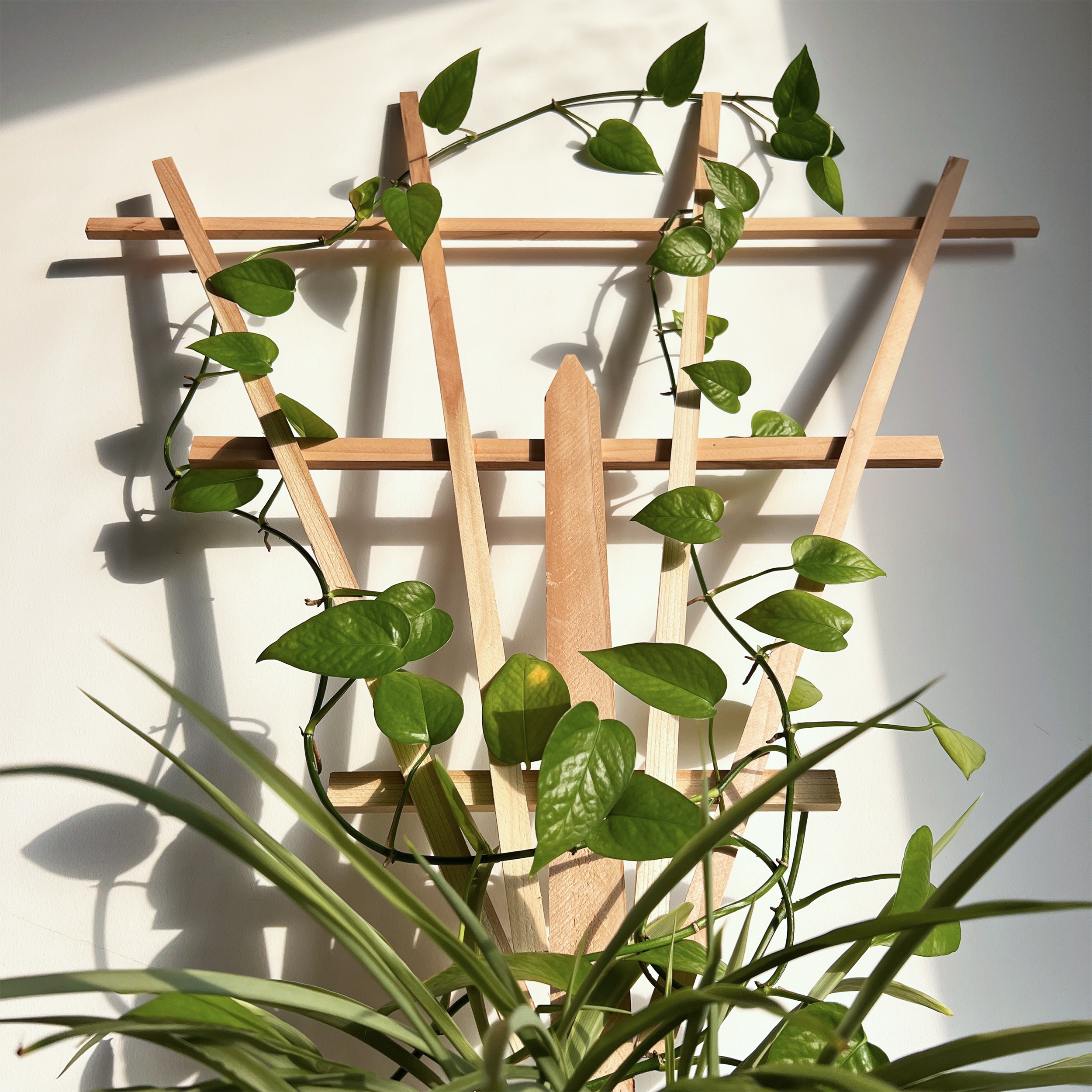 Style Selections TARJ310A Garden-Trellis - View #5