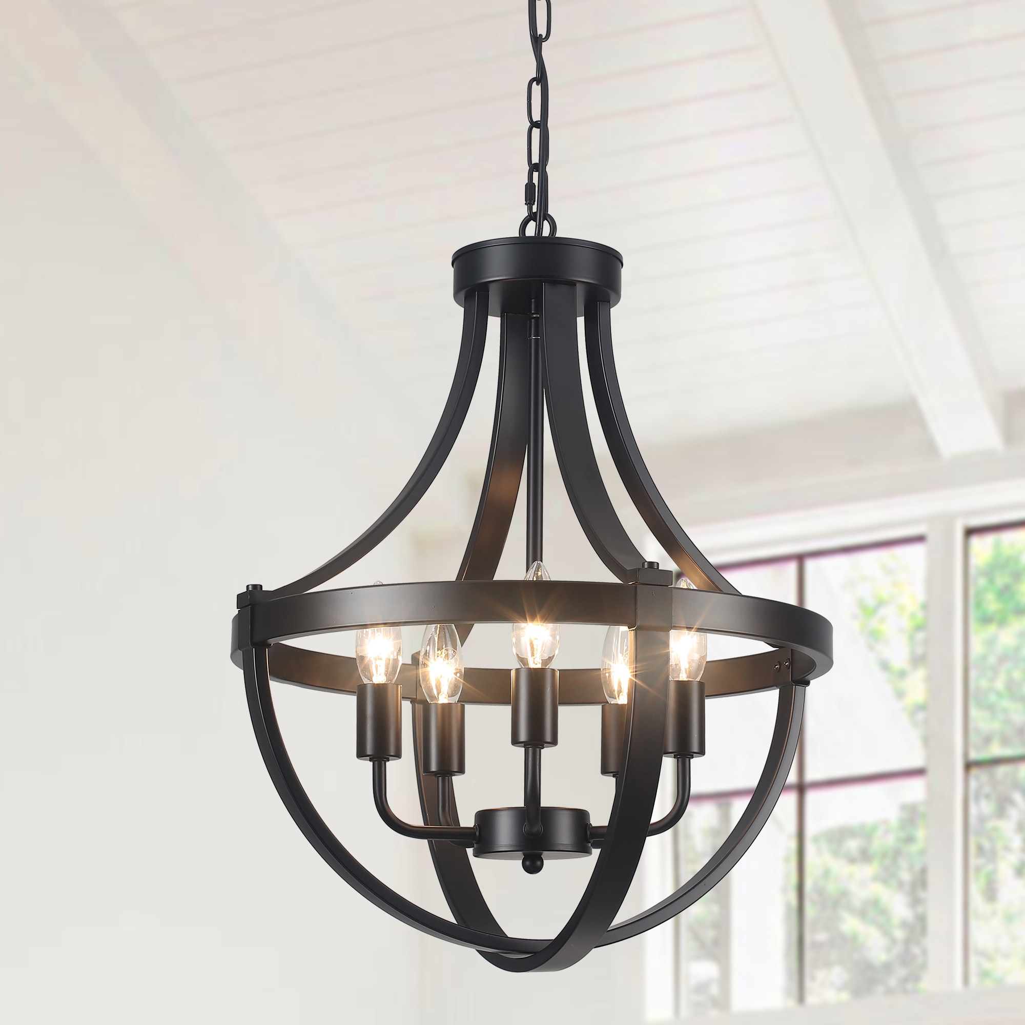 Zjvaive 16.53-in 5-Light Matte Black Farmhouse Globe Cage Chandelier Fixture for Foyer Kitchen Dining Room Living room Hallway