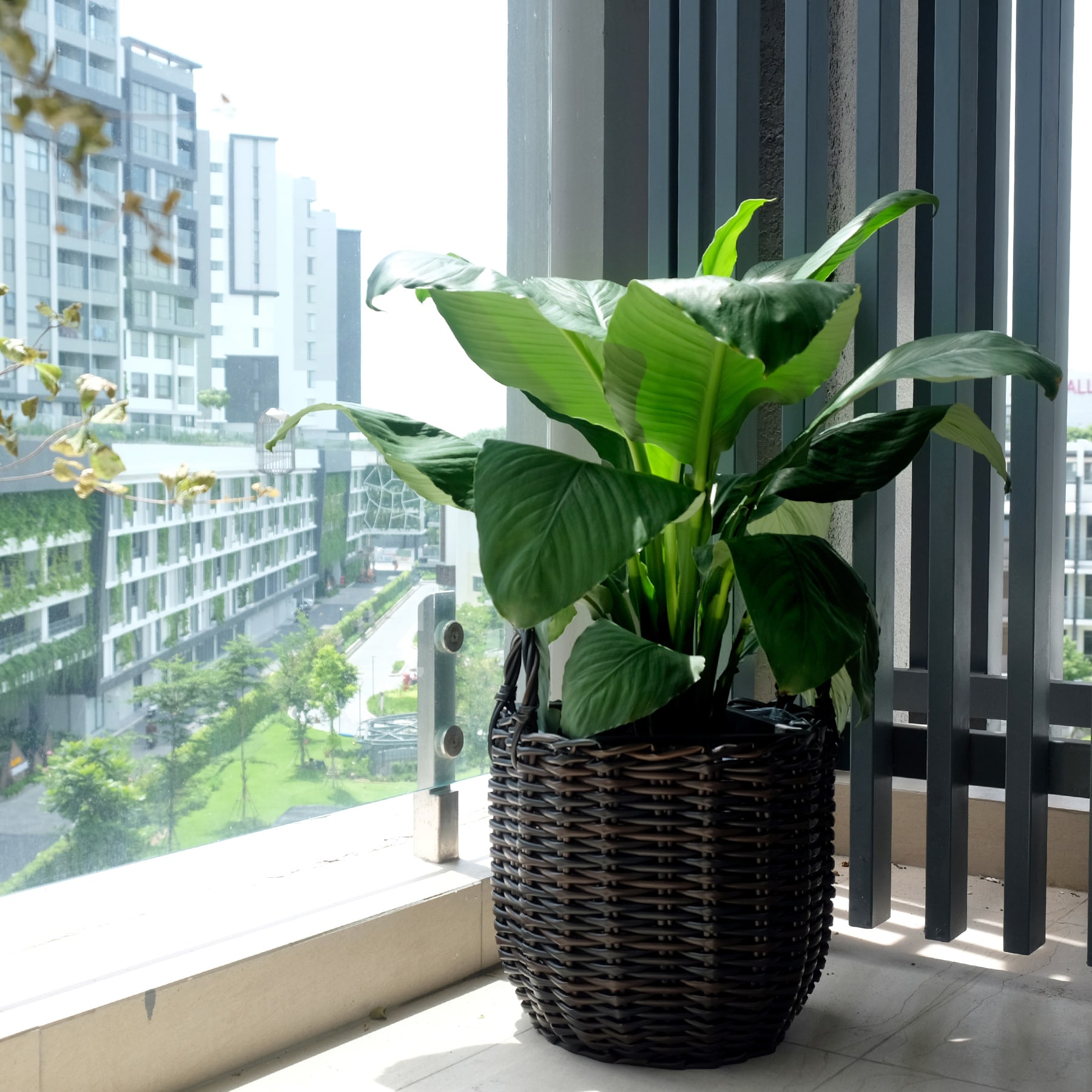 Kahomvis DTY-QPB0-687 Planter-Window-Box - View #2