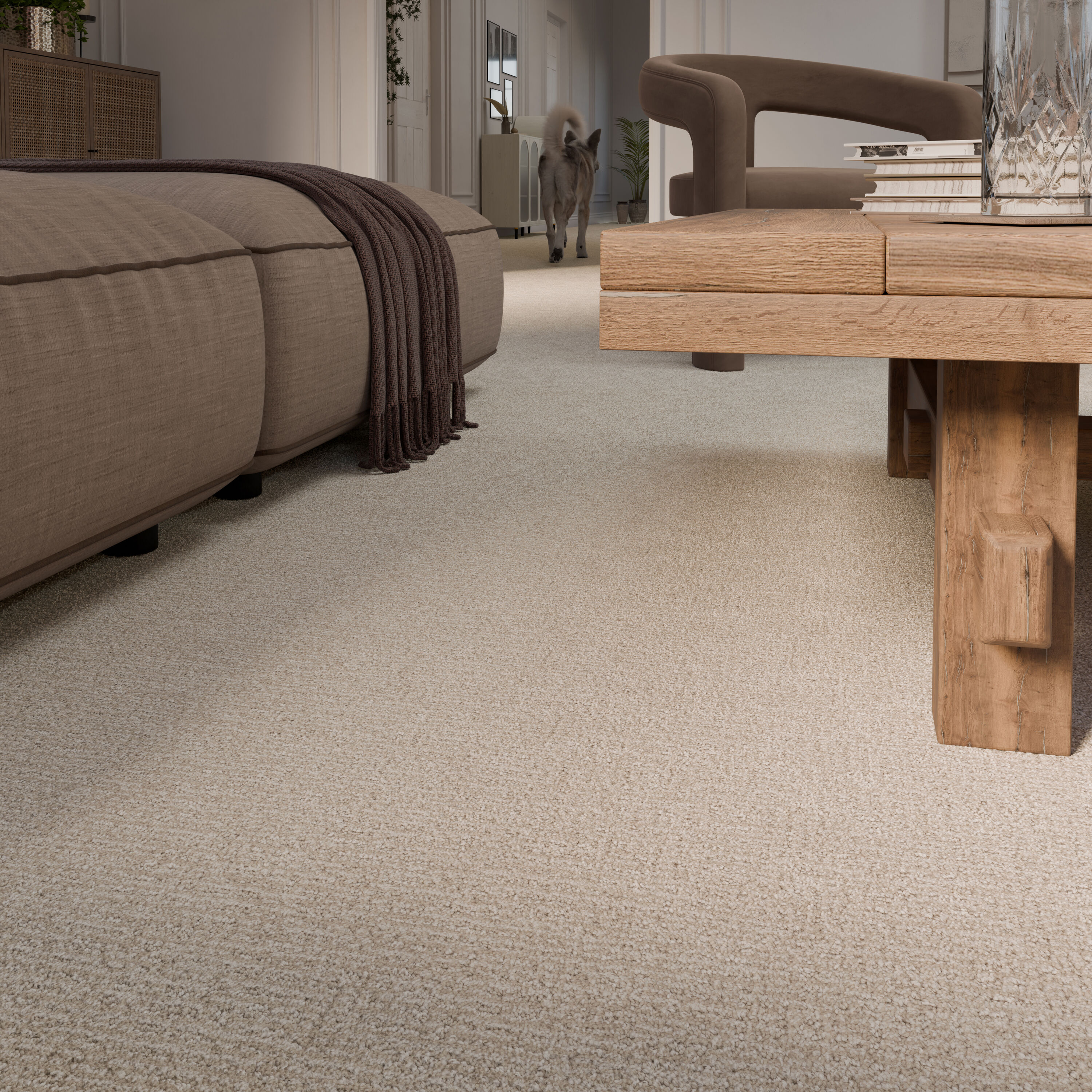 STAINMASTER PetProtect 7L94600116 Carpet-Panel - View #8