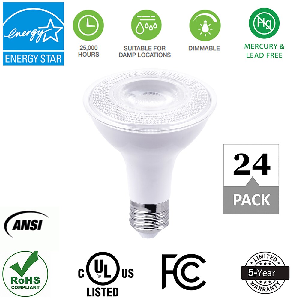 par30 bulb lowes