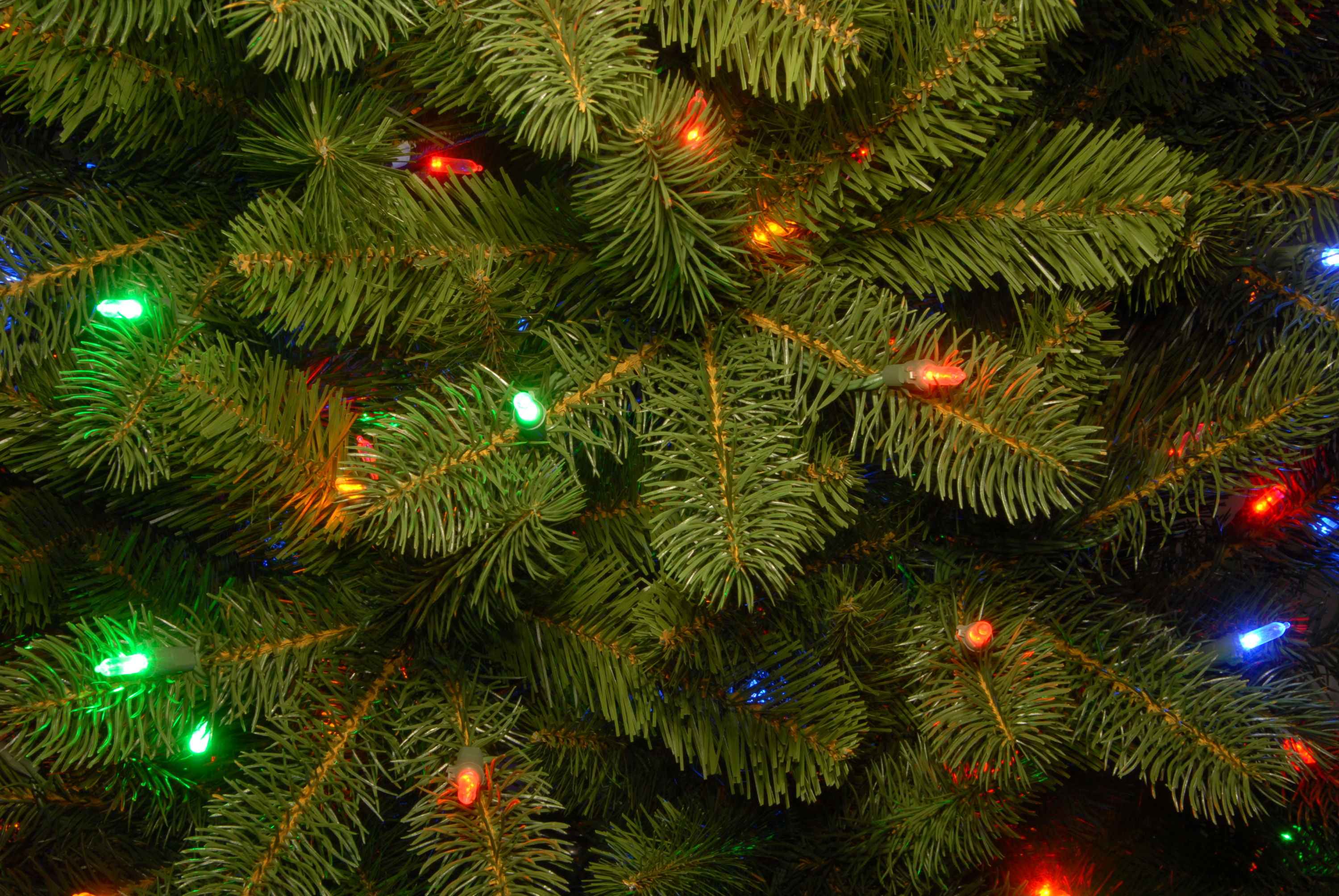 National Tree Company PEDD1-D12-65 Artificial-Christmas-Trees - View #4