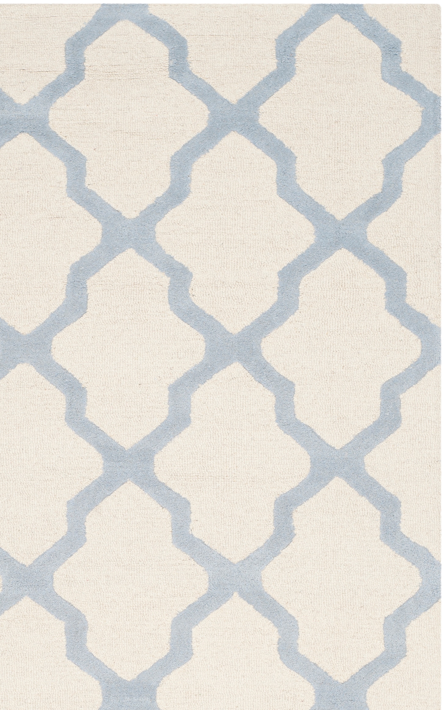 Safavieh CAM121F-6 rugs - View #4