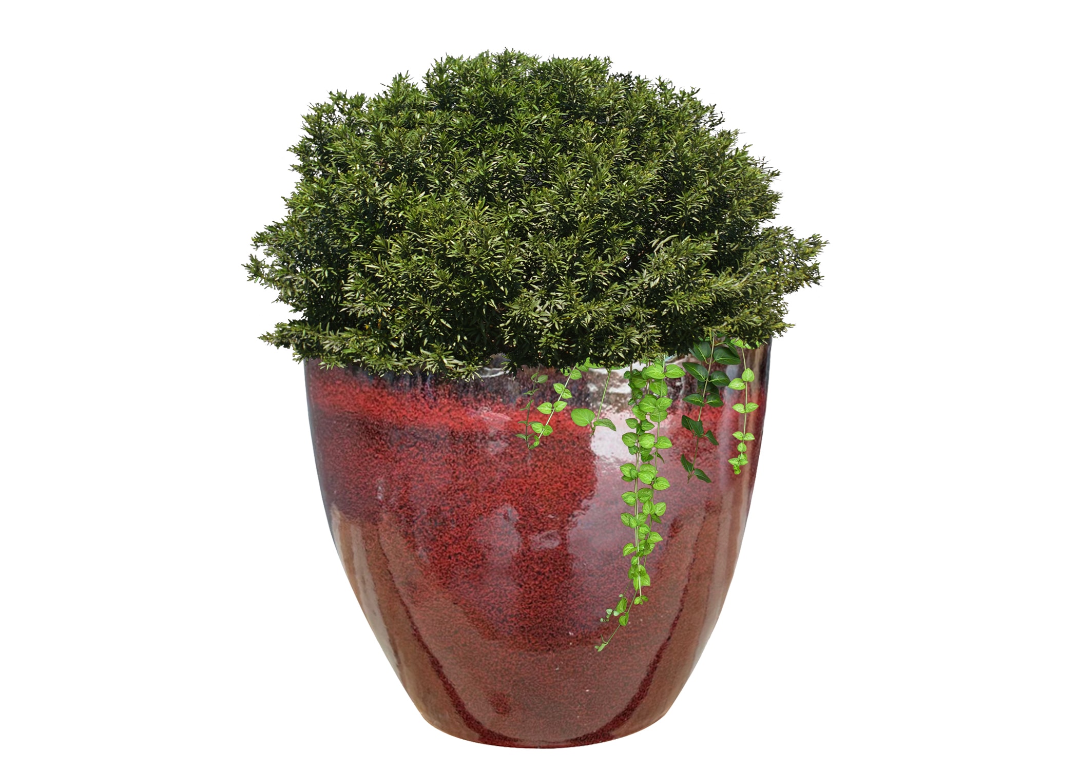 allen + roth GO2025-42 Planter-Window-Box - View #3