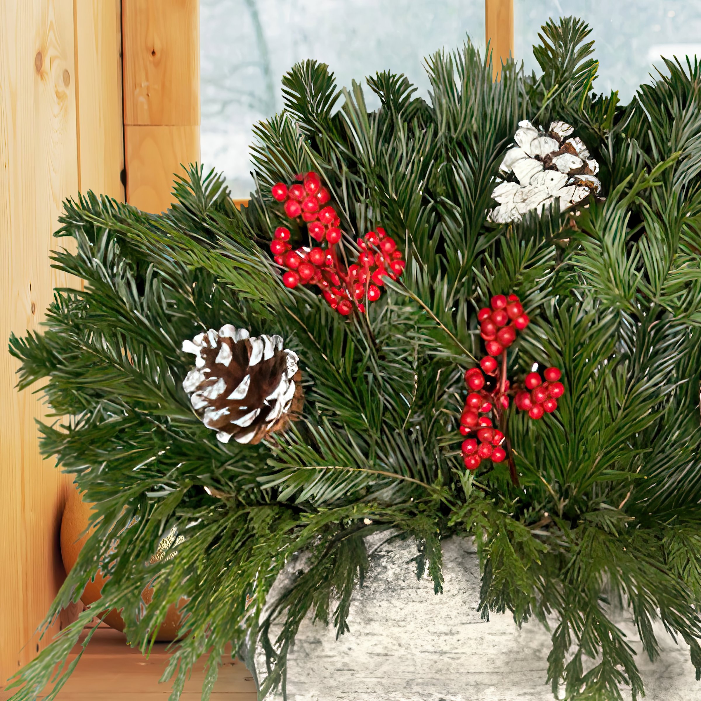 National Plant Network LW1864 Fresh-Cut-Christmas-Decorations - View #4