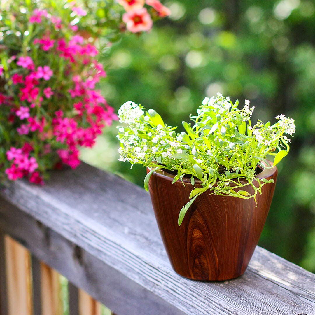 Siavonce XH44619 Planter-Window-Box - View #3