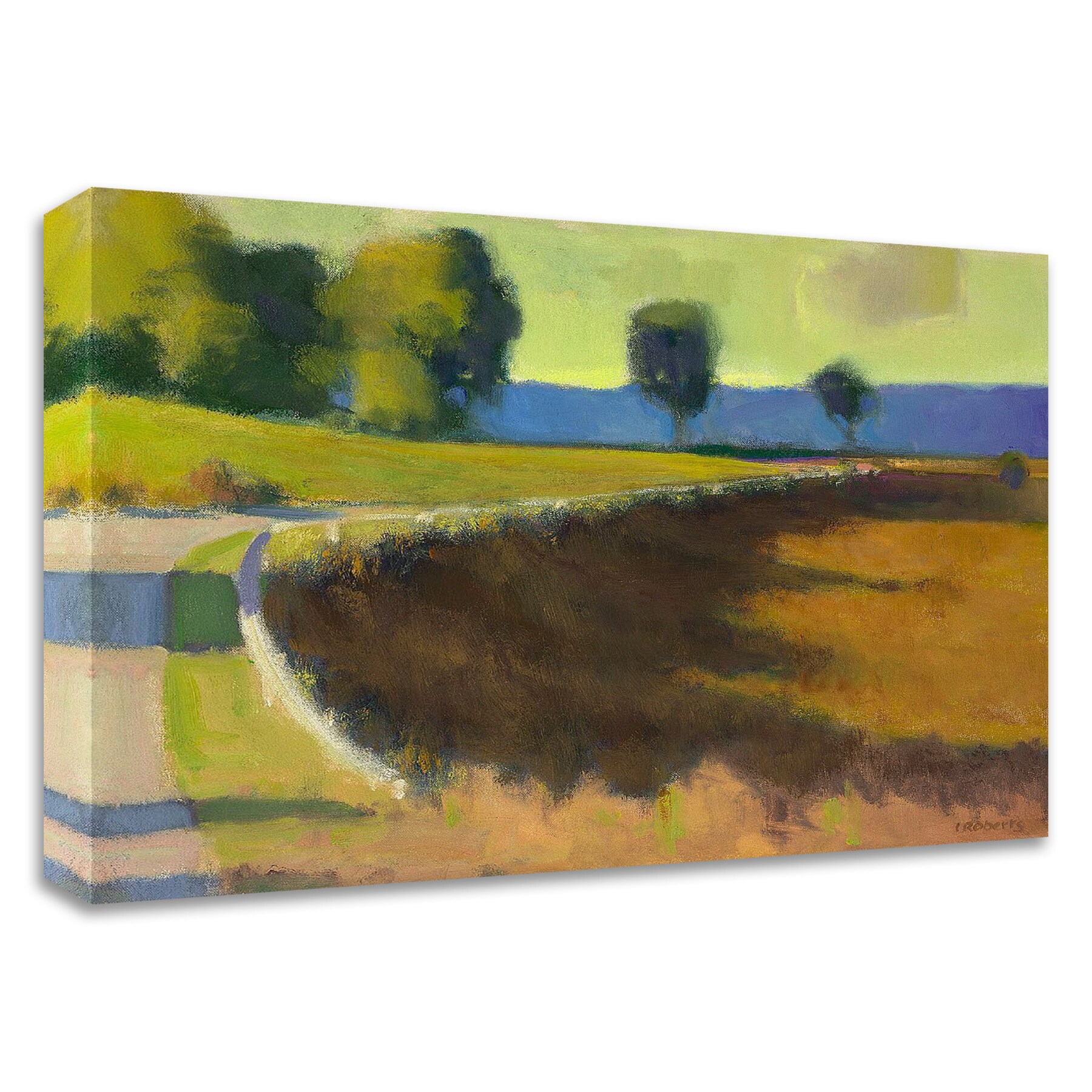 Tangletown Fine Art 8R1030DC-1412 Late Afternoon &#8211; The Pyrenees Ian Roberts 12-in H x 14-in W Landscape Print on Canvas