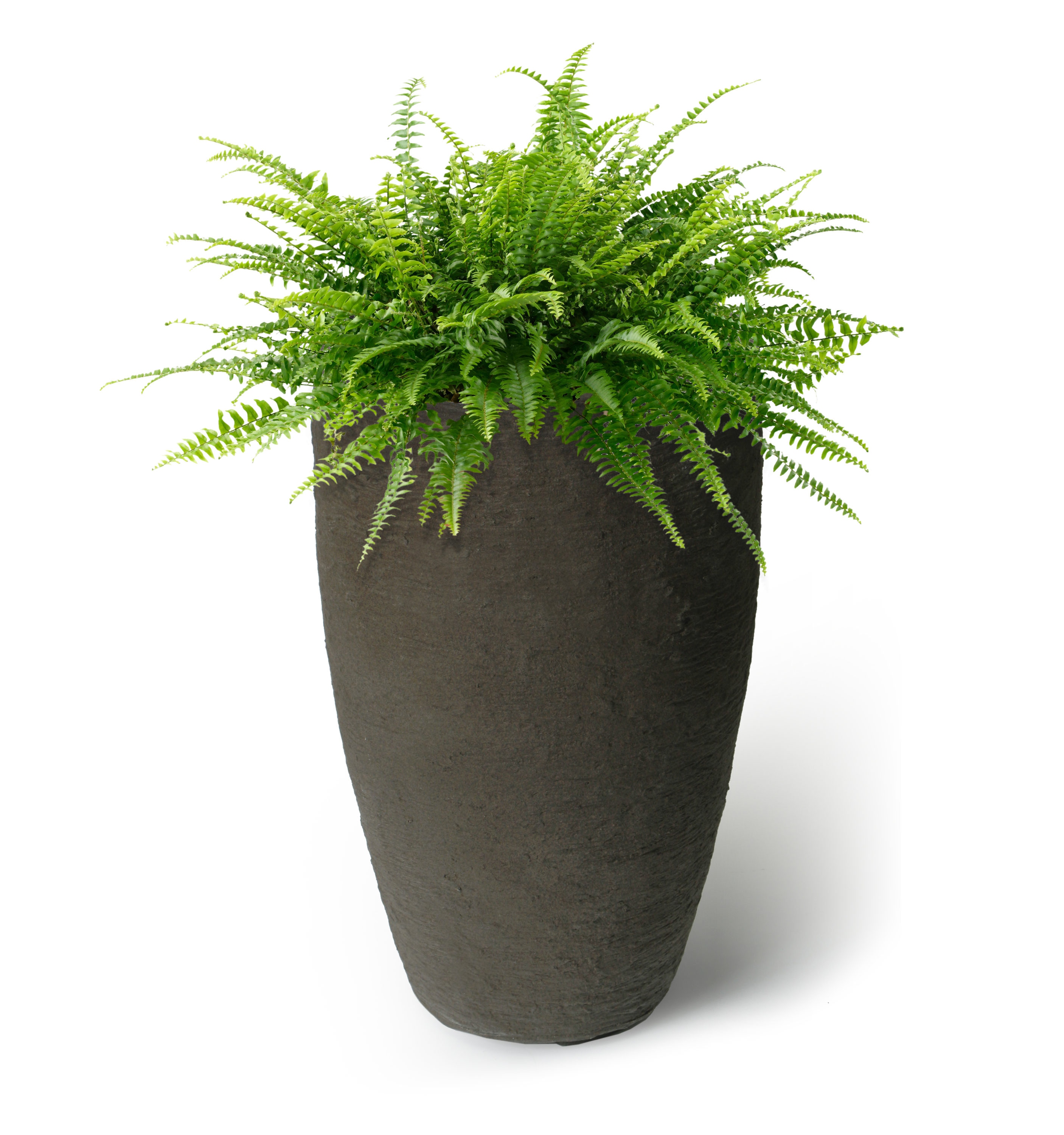 allen + roth 15.79-in W x 21.17-in H Contemporary White Resin Transitional  Indoor/Outdoor Planter in the Pots & Planters department at