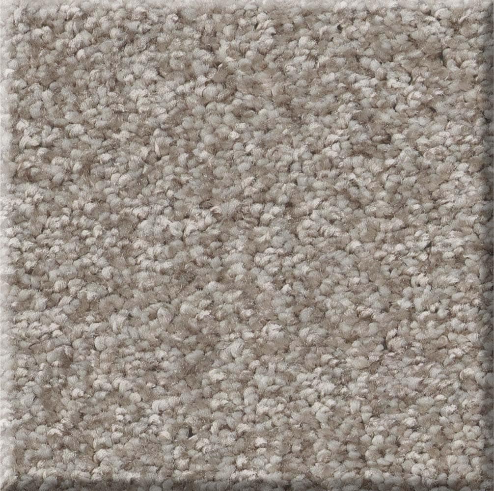 STAINMASTER 7L86900111 Effortless Appeal III Chic Greige Gray 68.3-oz sq yard Polyester Textured Indoor Carpet