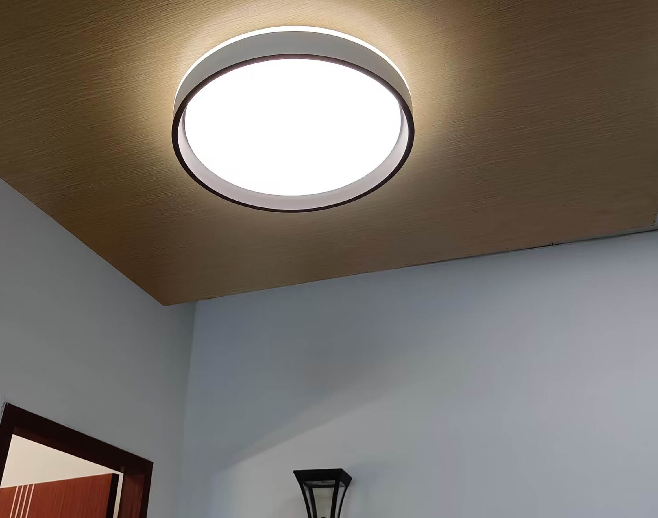 Lucere LED Flush Mount 1 Light Polished White LED Flush Mount Light In   65656884 