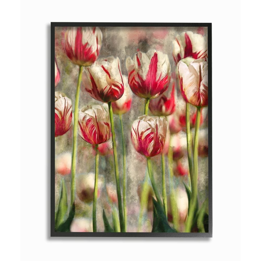 Stupell Industries AB-918-FR-16X20 Spring Tulips in Flower Field Pink White Ziwei Li Black Framed Wood Framed 20-Inches H x 16-Inches W Floral Print
