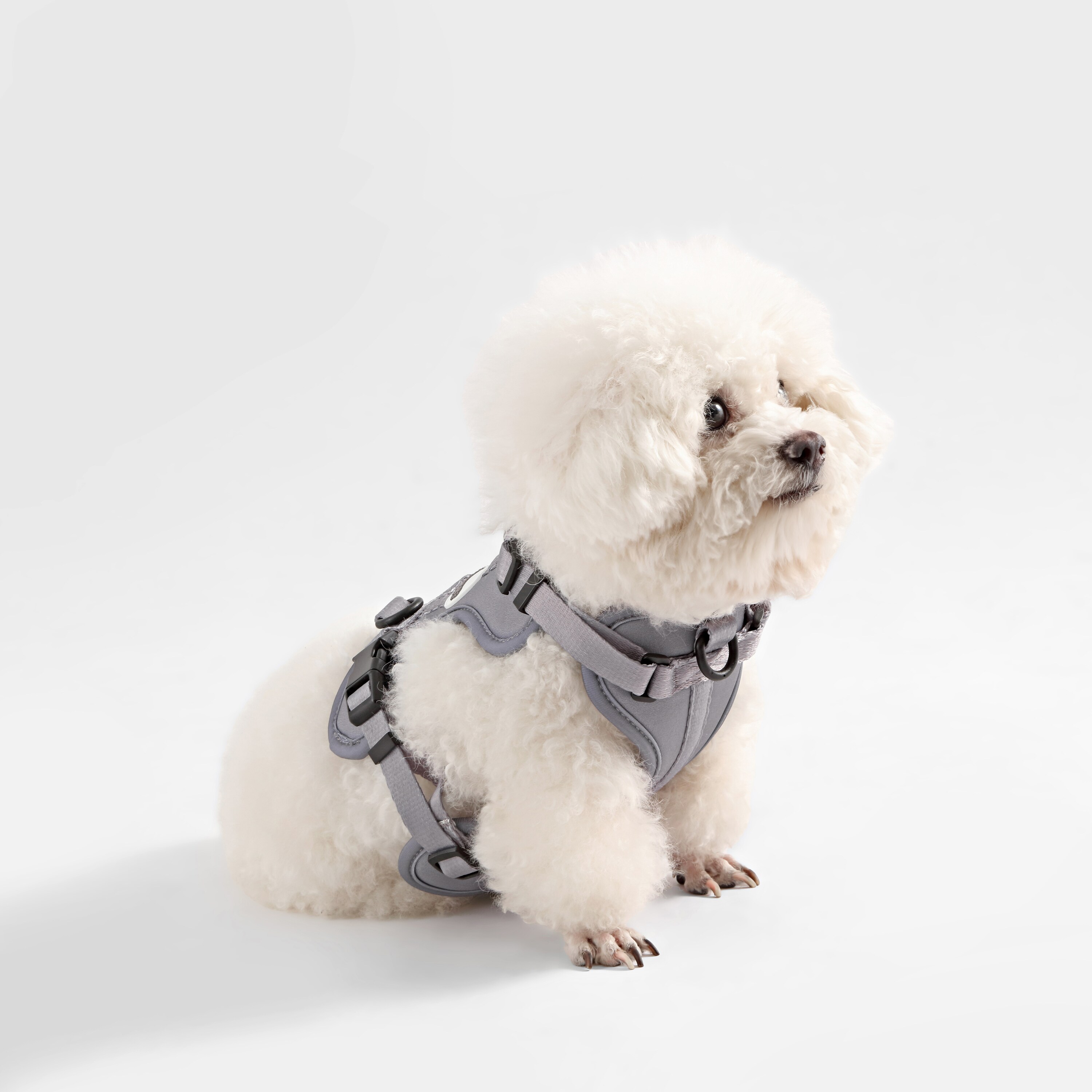 The Licker Store HNS1001N Dog-Collars-Harnesses - View #3
