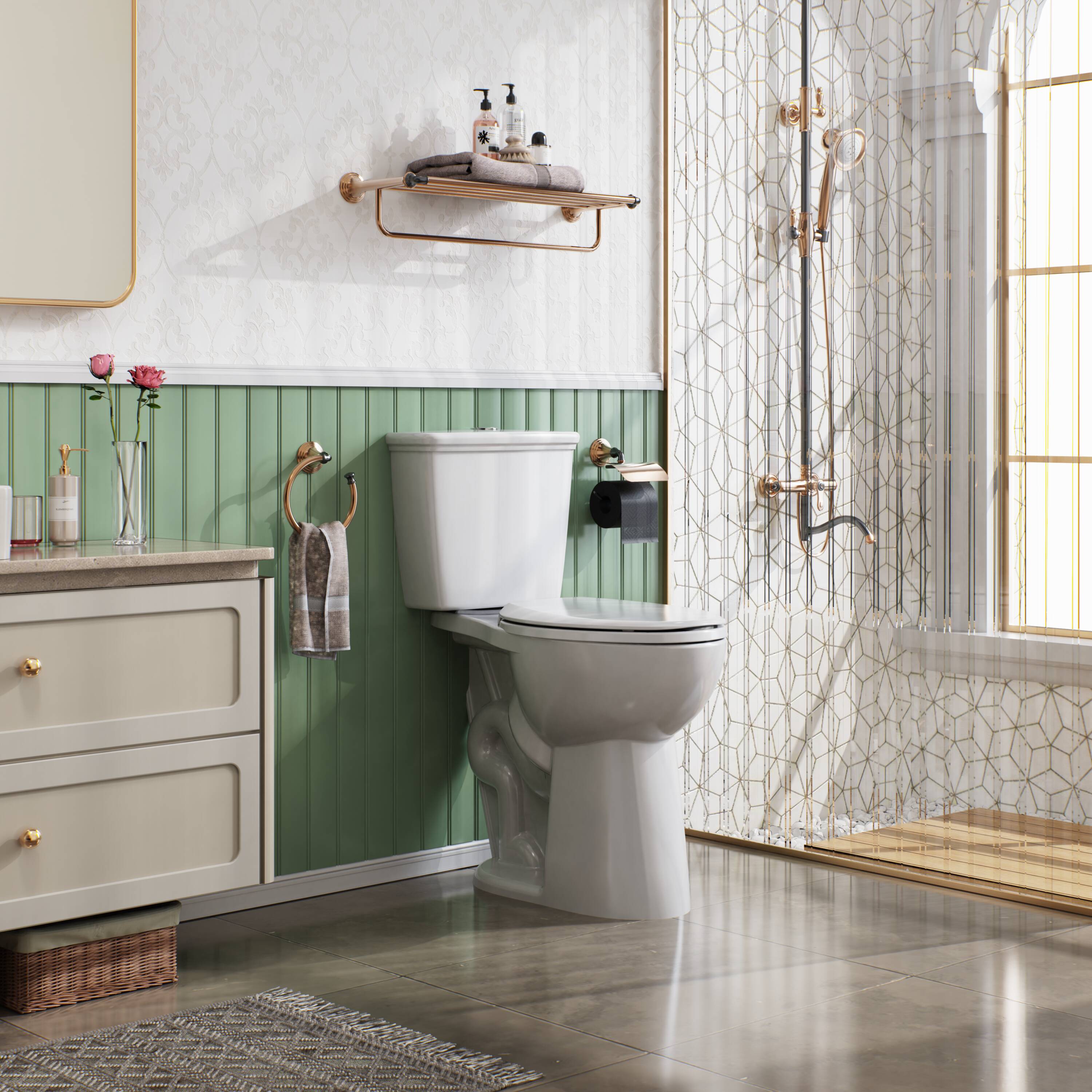 Project Source MT-20215A toilets - View #6