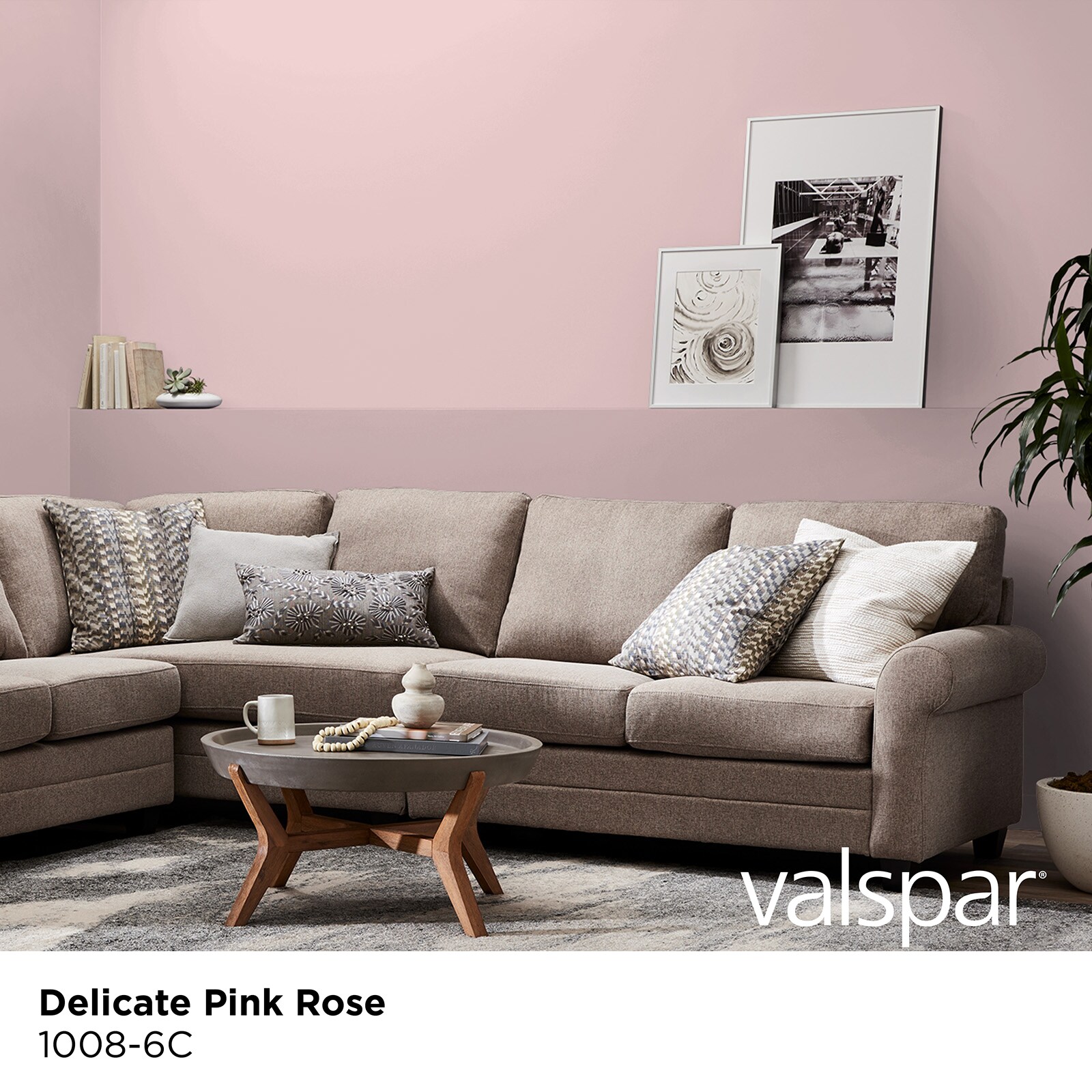 Valspar 1008-6C-2916587 Int-Ext-Paint - View #2