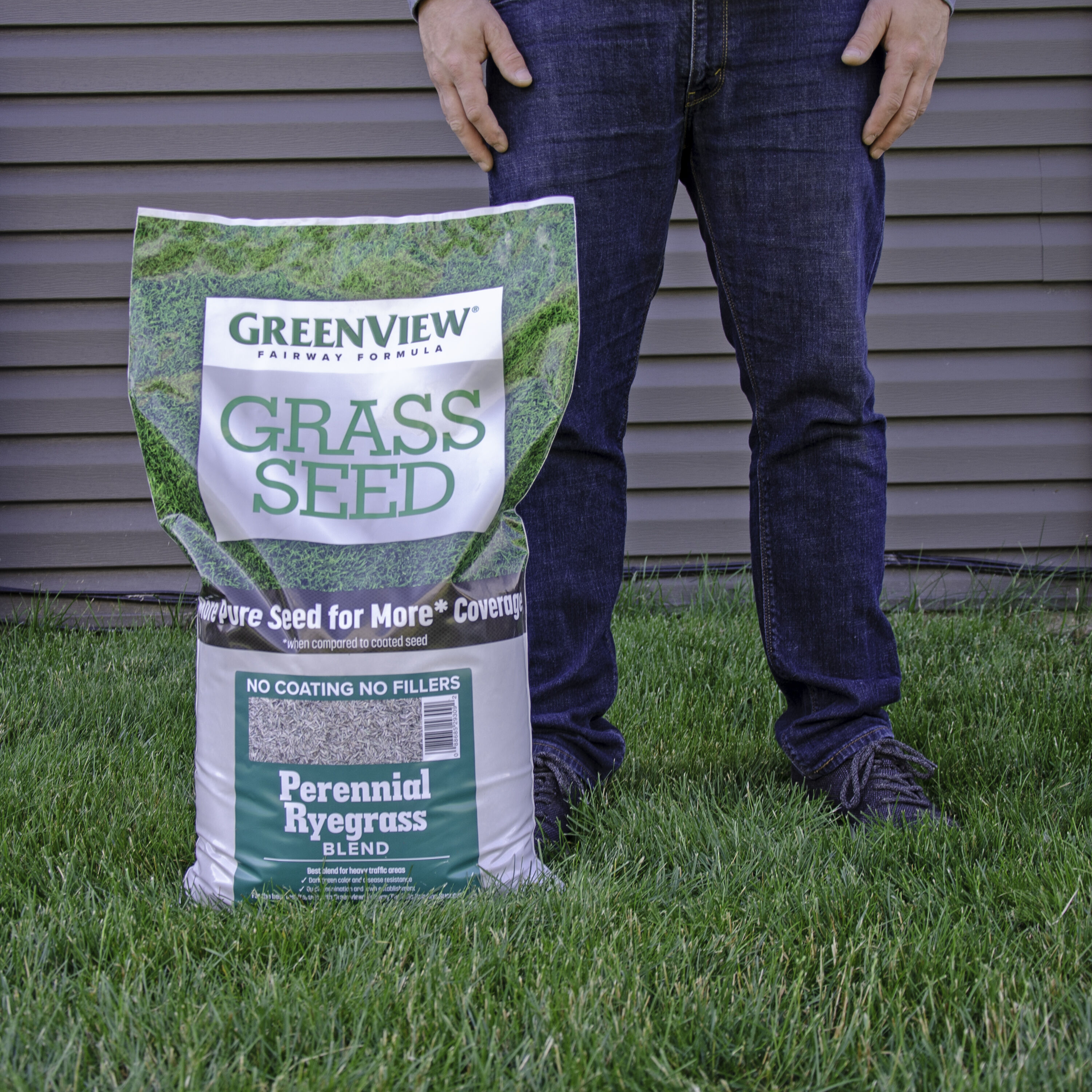 Greenview Fairway Formula 20-lb Natural Perennial Ryegrass Grass Seed ...