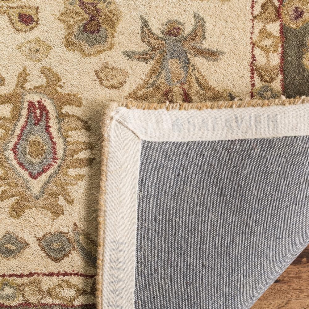 Safavieh AN547B-4 rugs - View #4