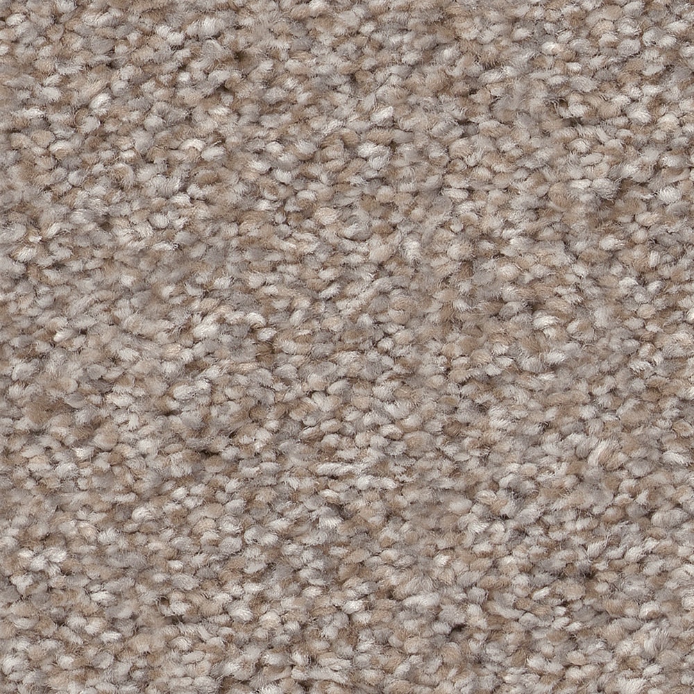 Style Selections 7L849 - 502 - SAMP (Sample) Hideaway I Lady Liberty Gray 31.2-oz sq yard Polyester Textured Indoor Carpet