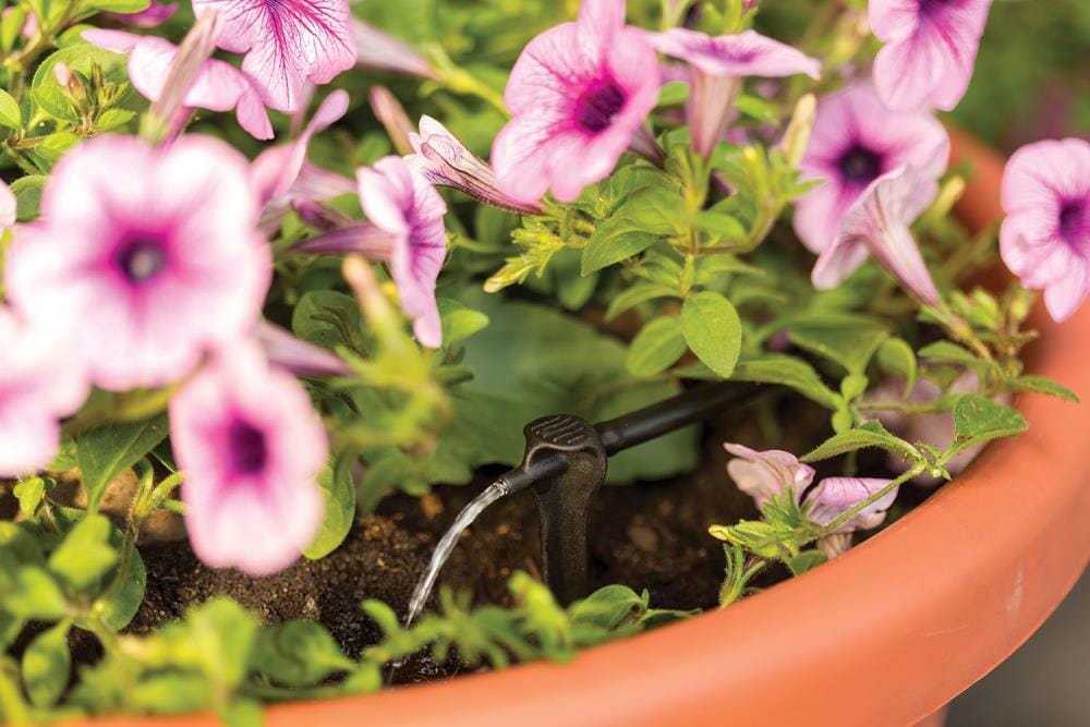 Rain Bird SD24PKSX Drip-Irrigation-Water-Emitters - View #3