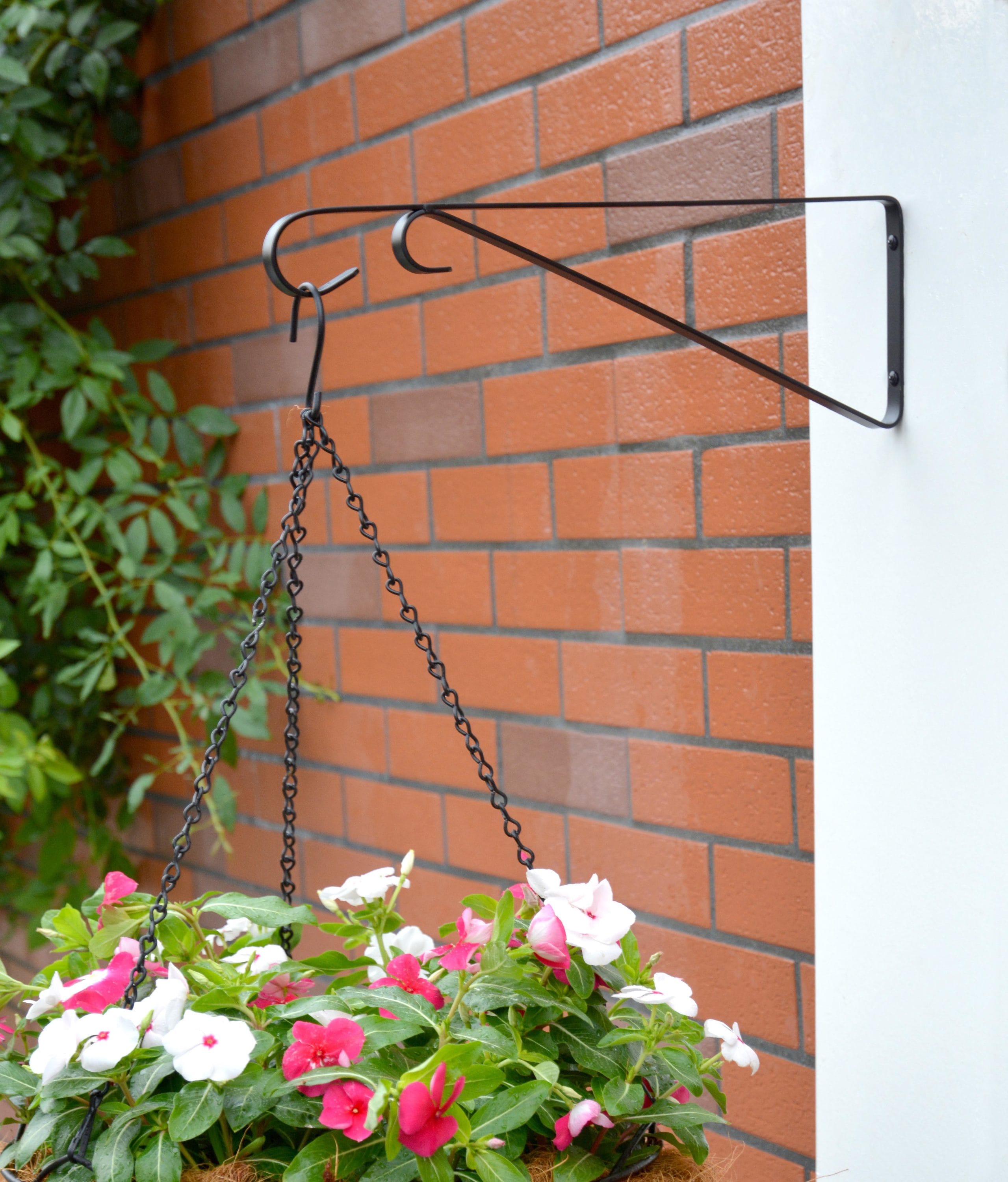 Style Selections 15-in Black Steel Traditional Plant Hook(s) in the Plant  Hooks department at