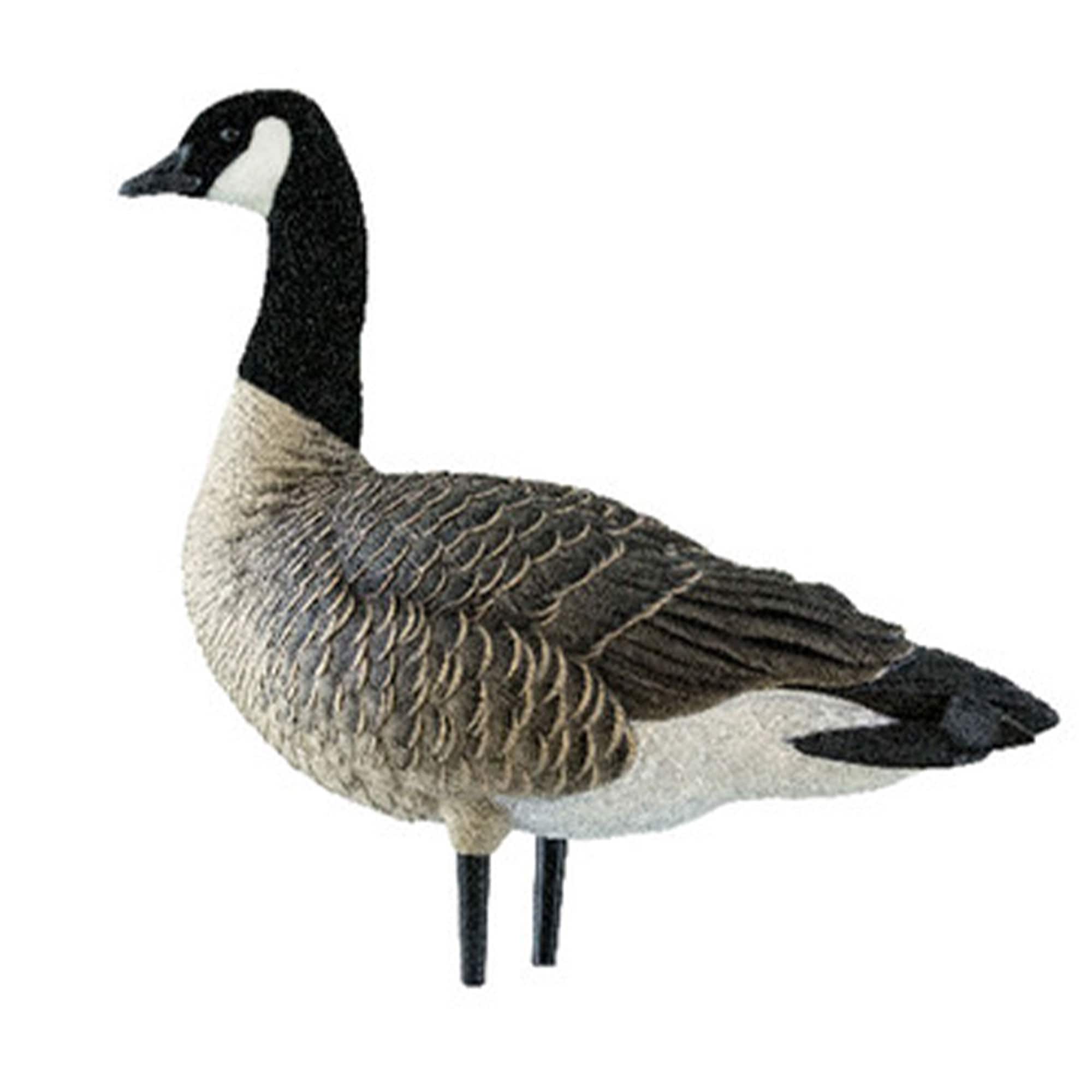  Avian X 399280 Hunting-Equipment - View #8