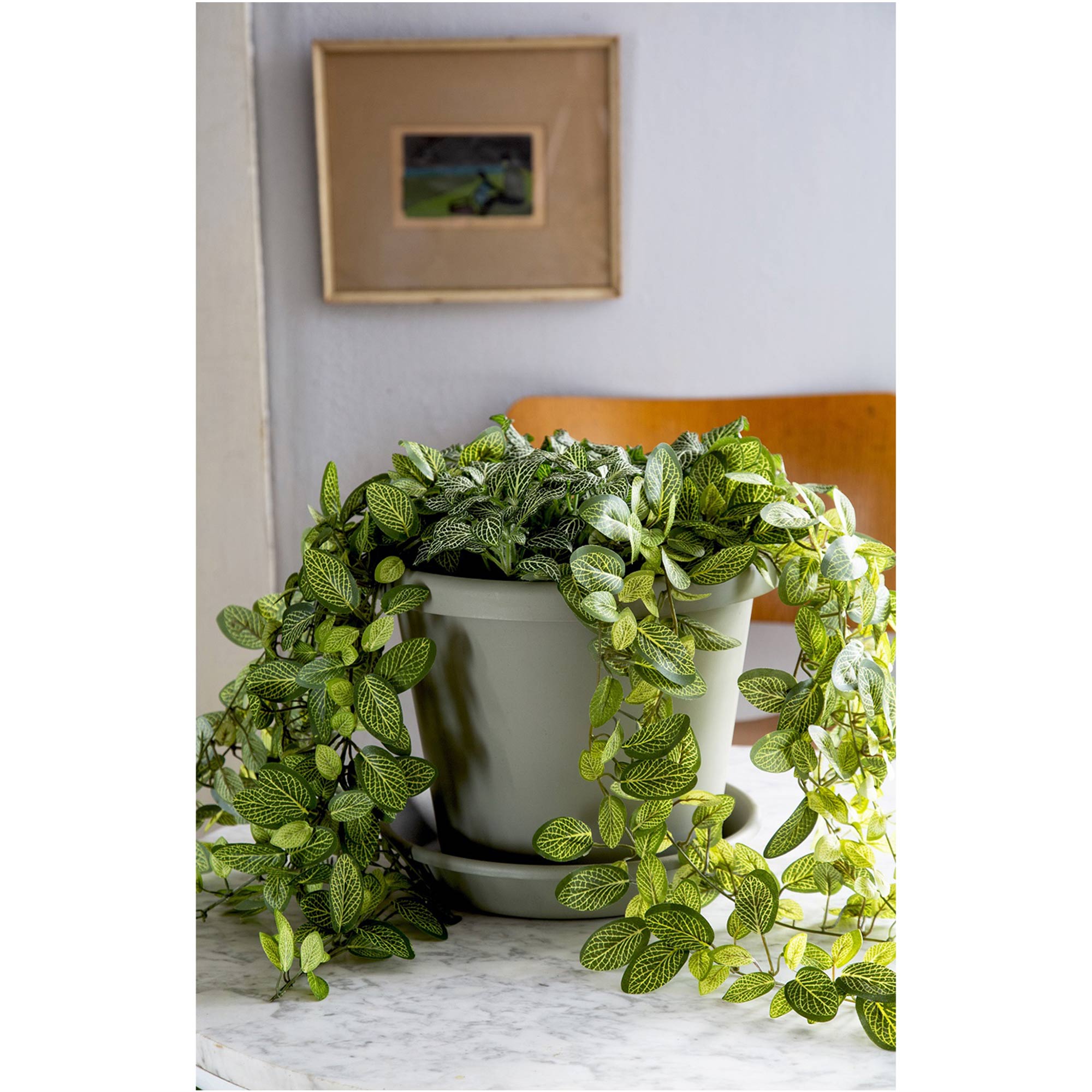 The HC Companies 400696 Planter-Window-Box - View #4