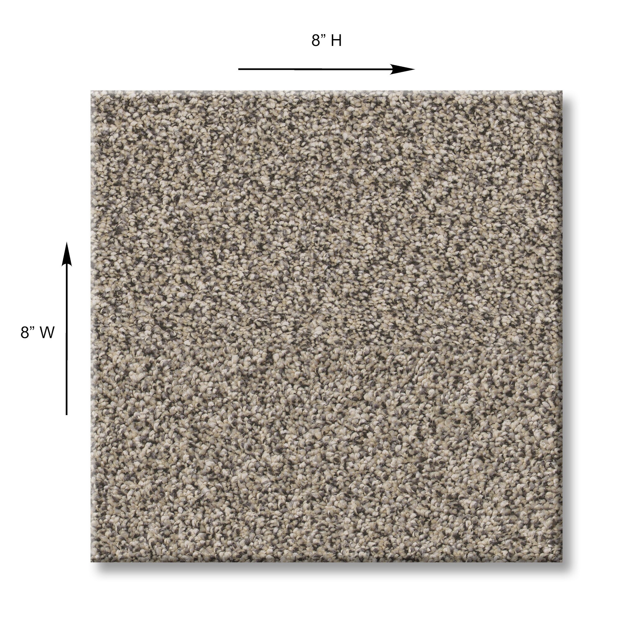 STAINMASTER PetProtect 7L931-120-SAMP Carpet-Samples - View #10