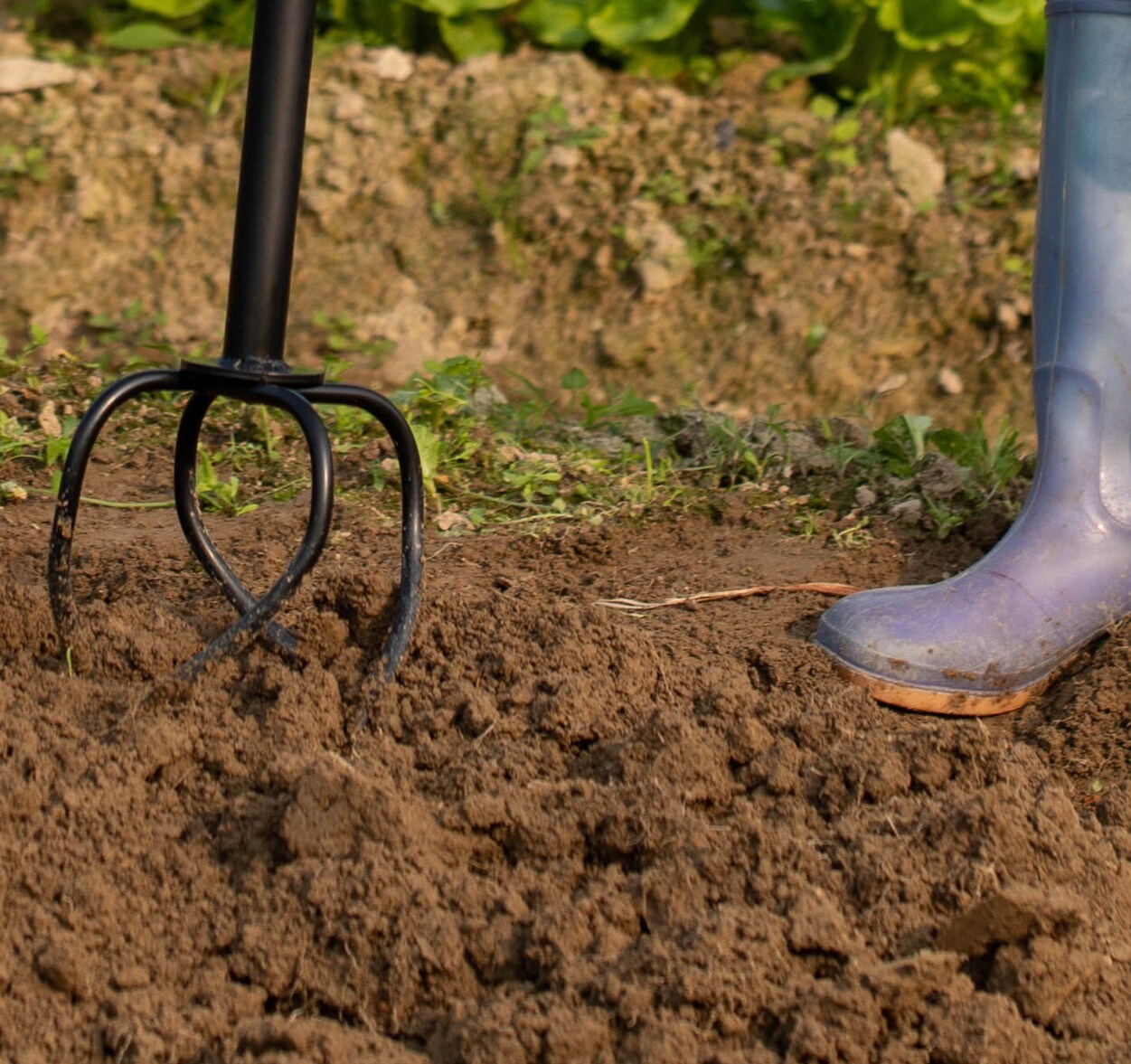 Gardenised QI004782 Spiker-Aerator - View #6